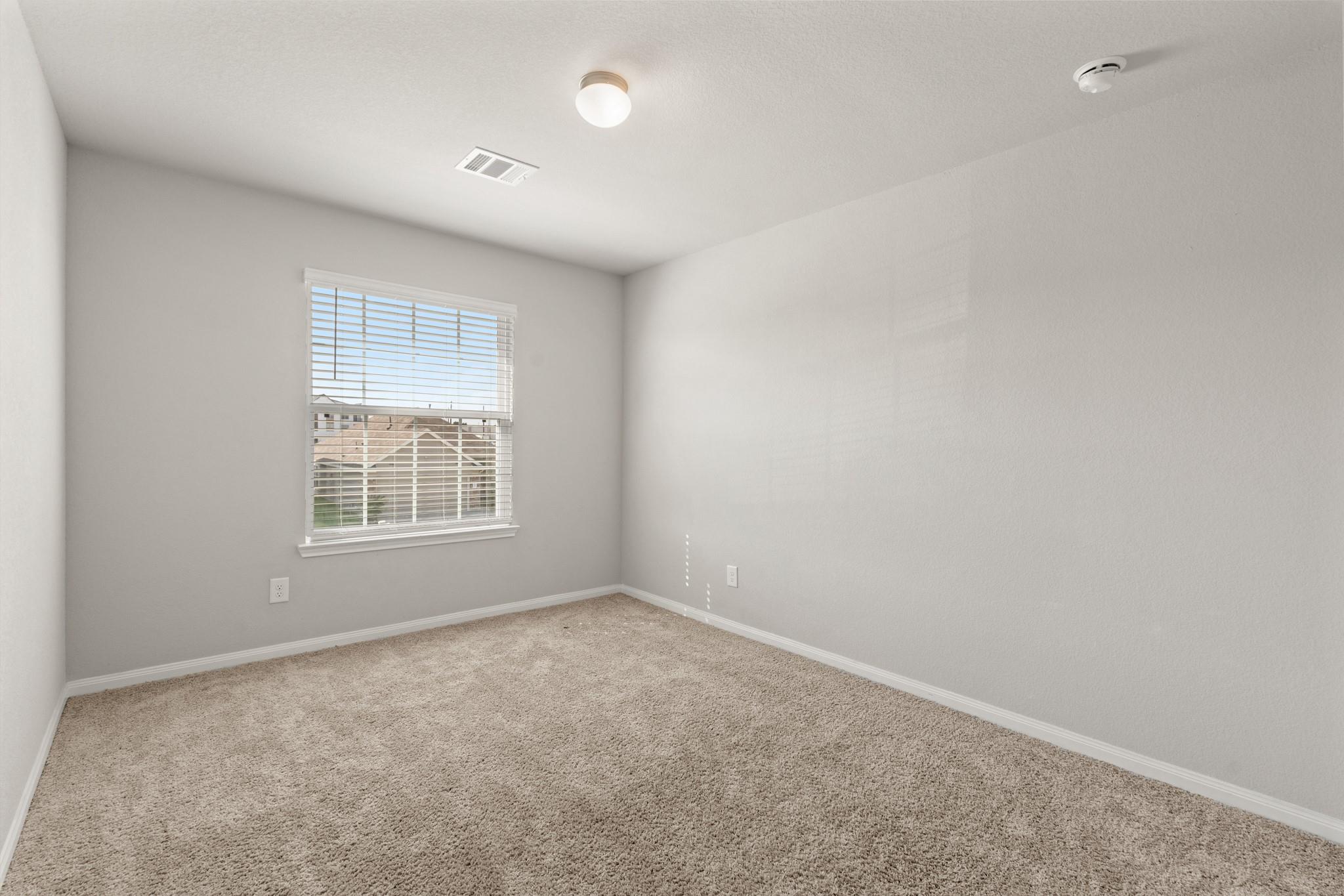 24806 Bastiani Canvas Lane