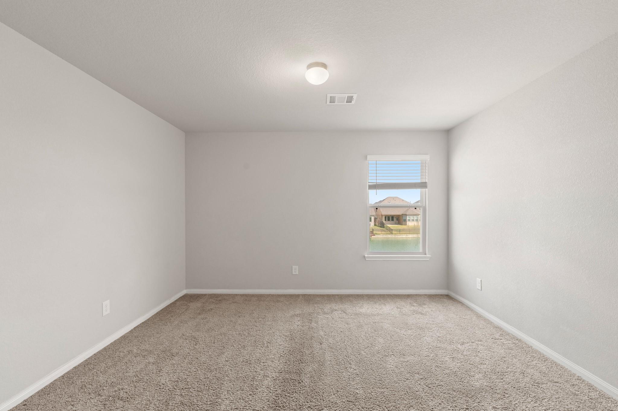 24806 Bastiani Canvas Lane