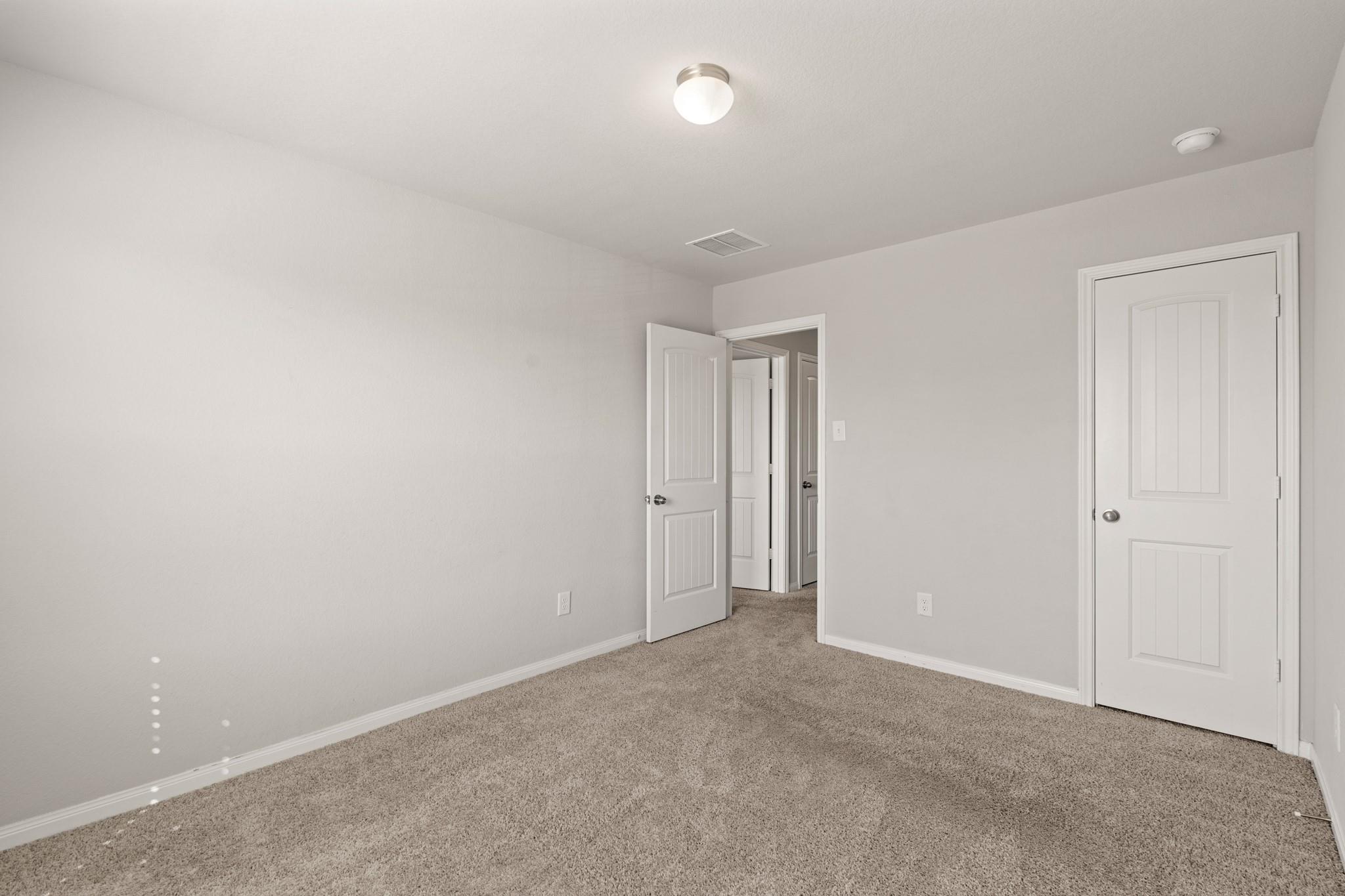 24806 Bastiani Canvas Lane
