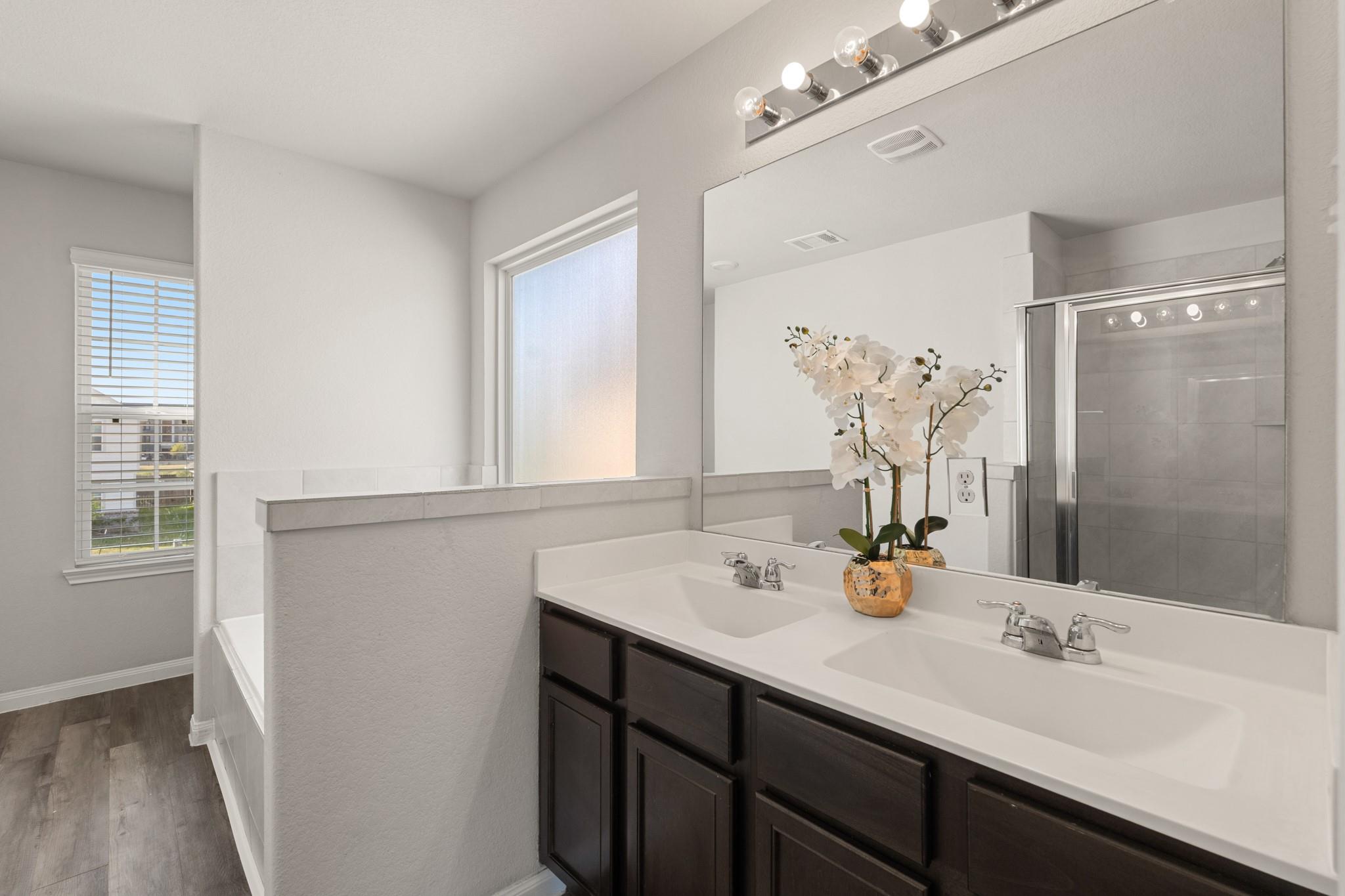 24806 Bastiani Canvas Lane