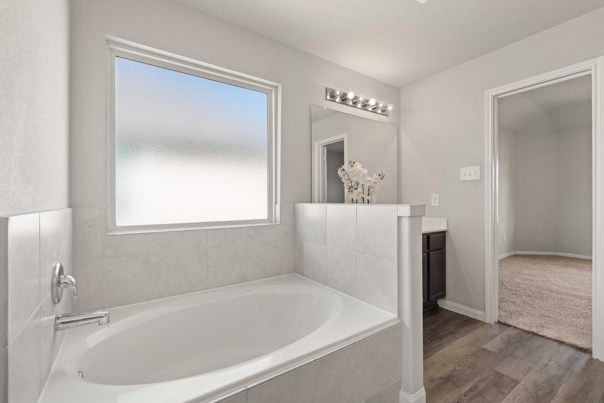 24806 Bastiani Canvas Lane