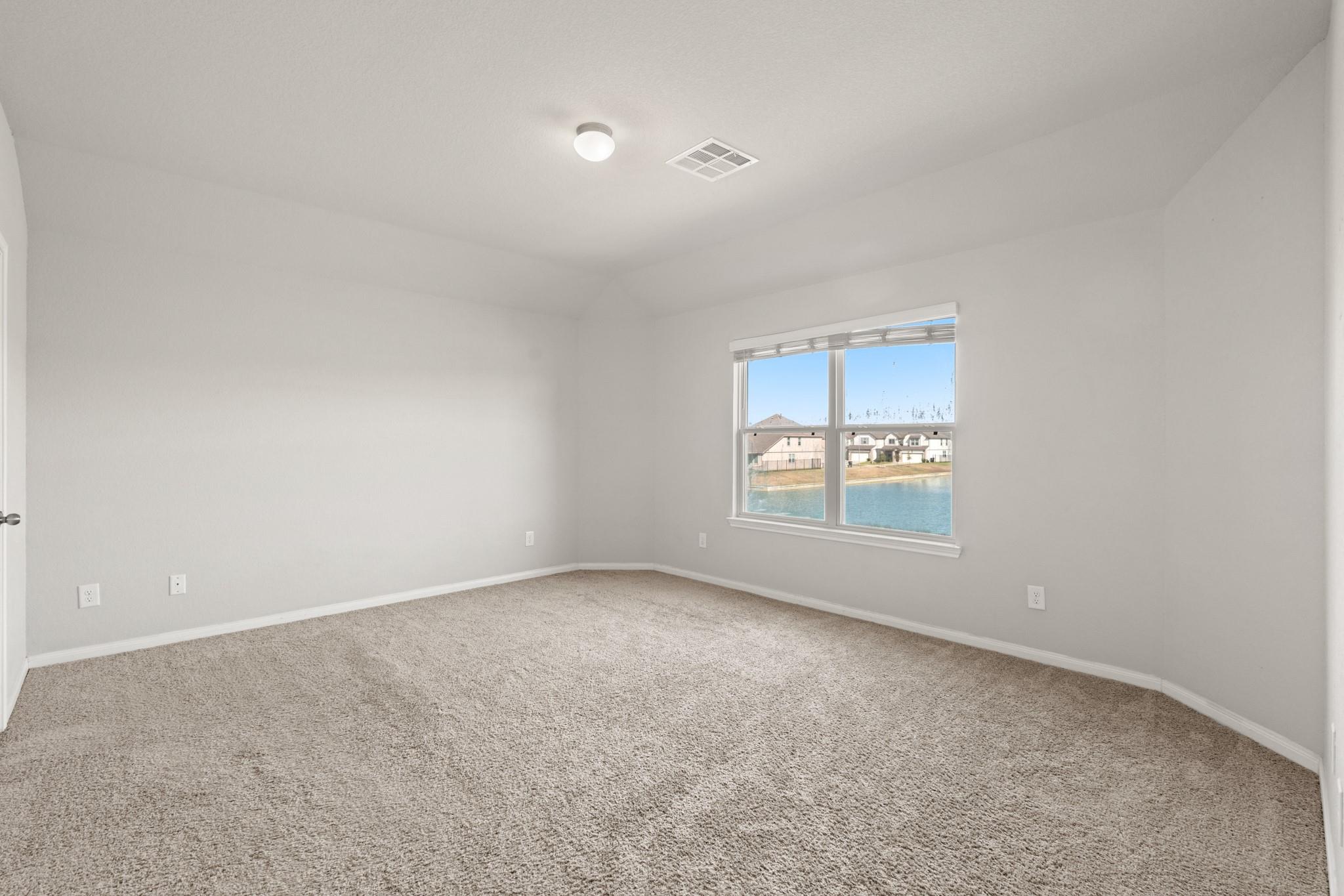 24806 Bastiani Canvas Lane