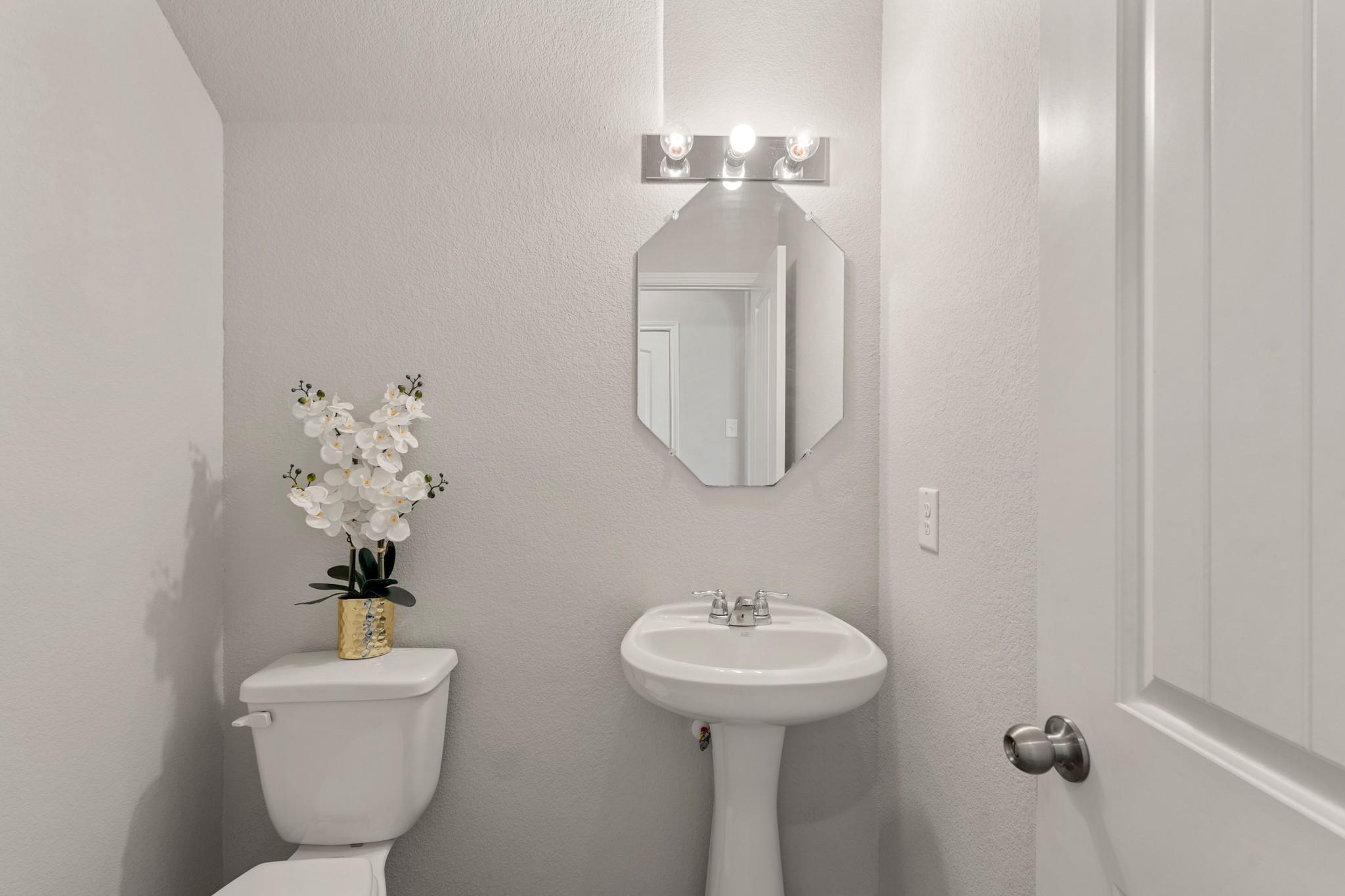 24806 Bastiani Canvas Lane