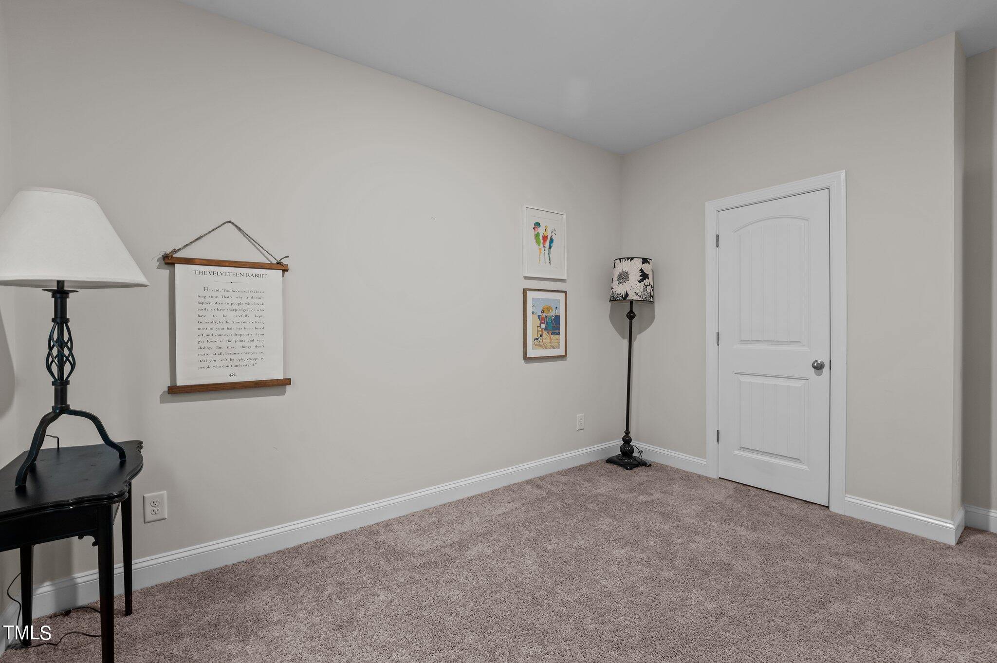 Carpeted room with a white paneled door, framed artwork, and floor lamps.