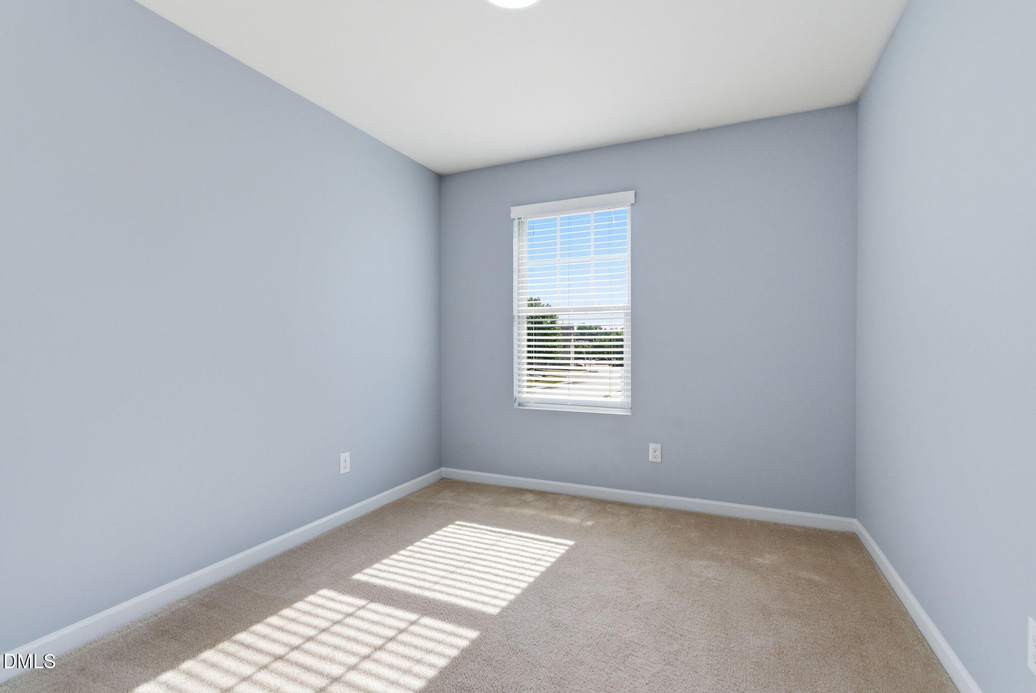 9919 Sweet Basil Drive