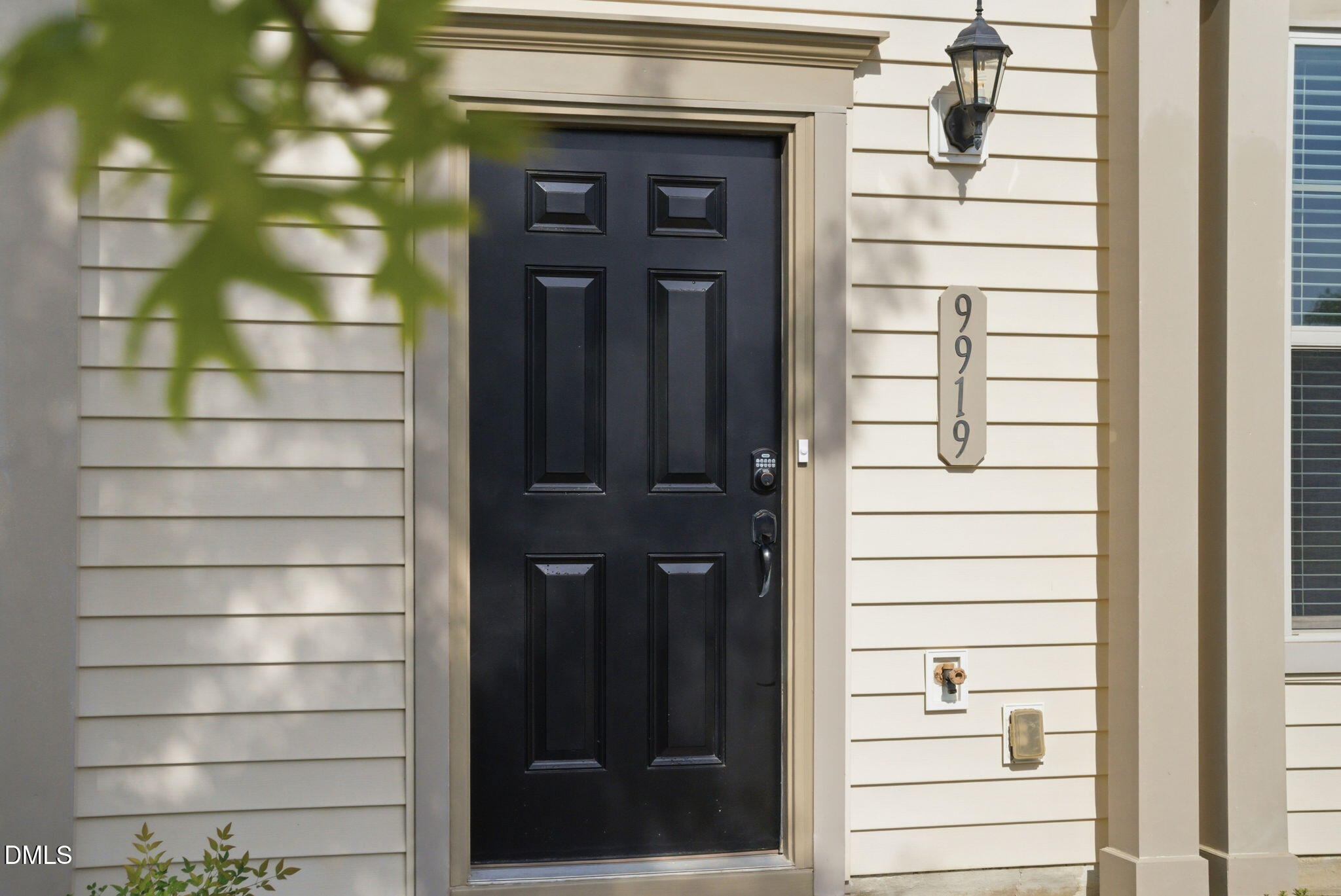 9919 Sweet Basil Drive