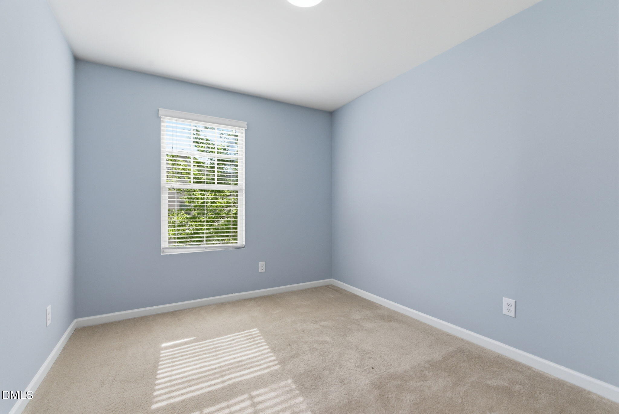 9919 Sweet Basil Drive