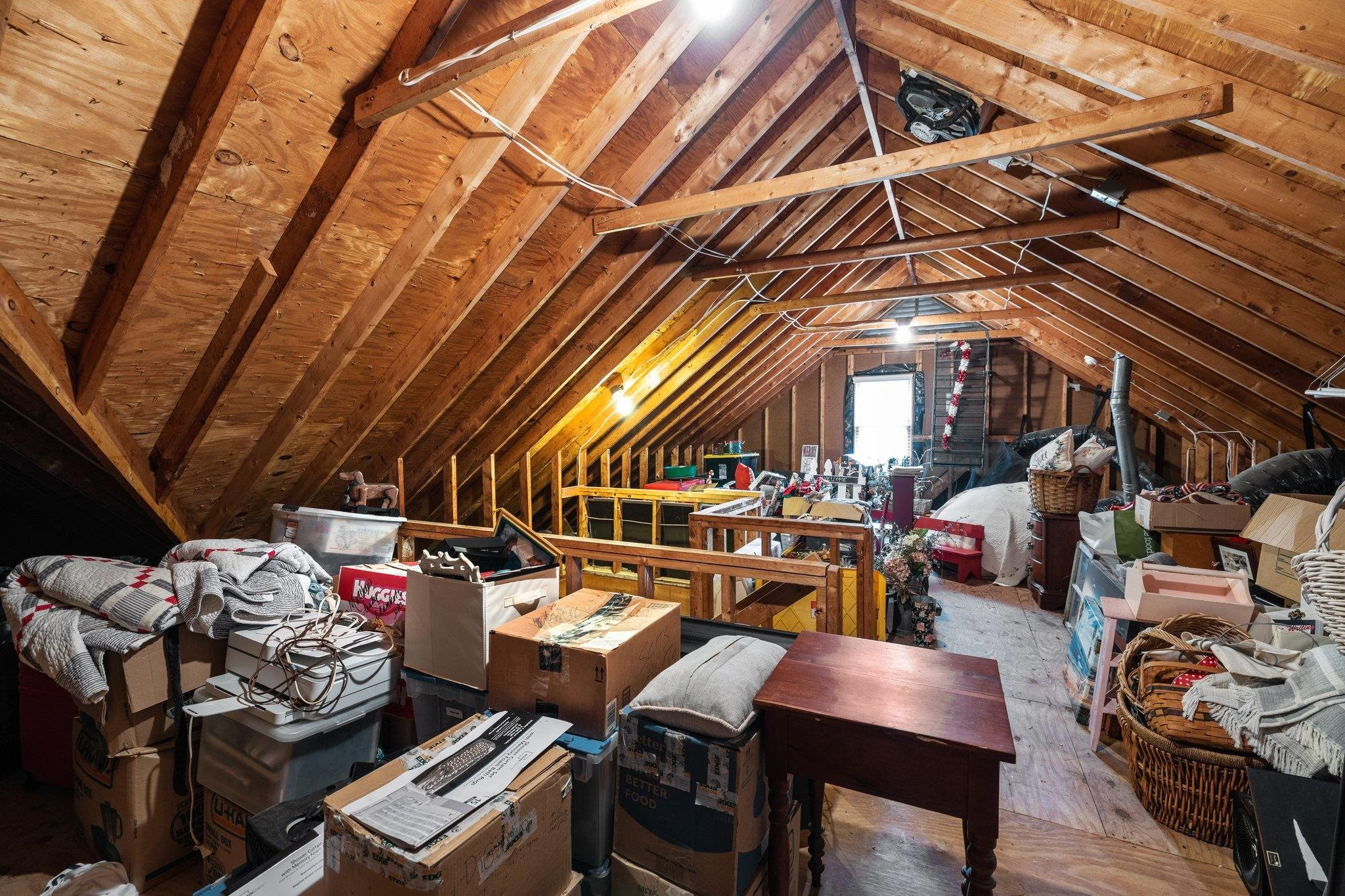 3309 Donner Trail
