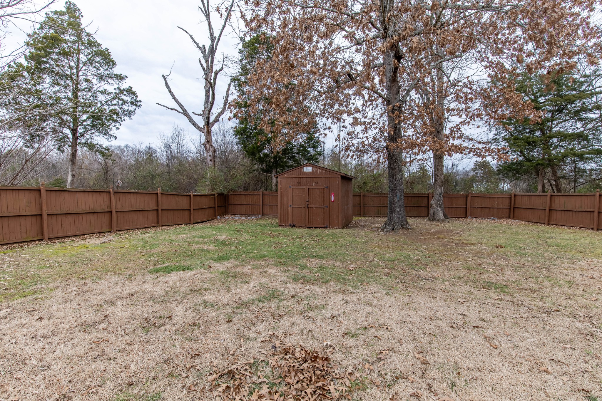 202 Steelson Way