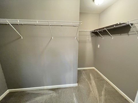 5006 Courage Ct