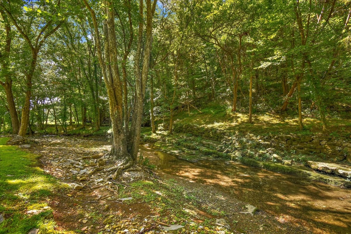 1570 Wolf Creek Rd