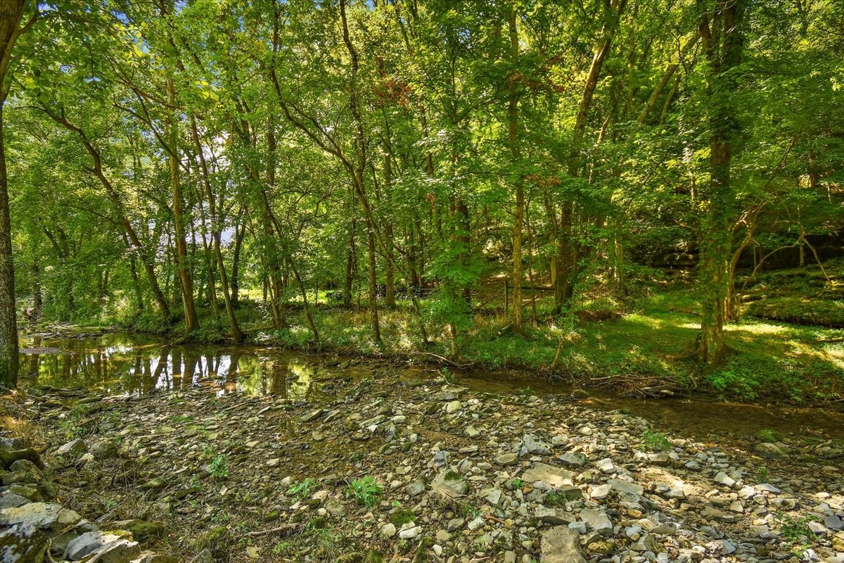 1570 Wolf Creek Rd