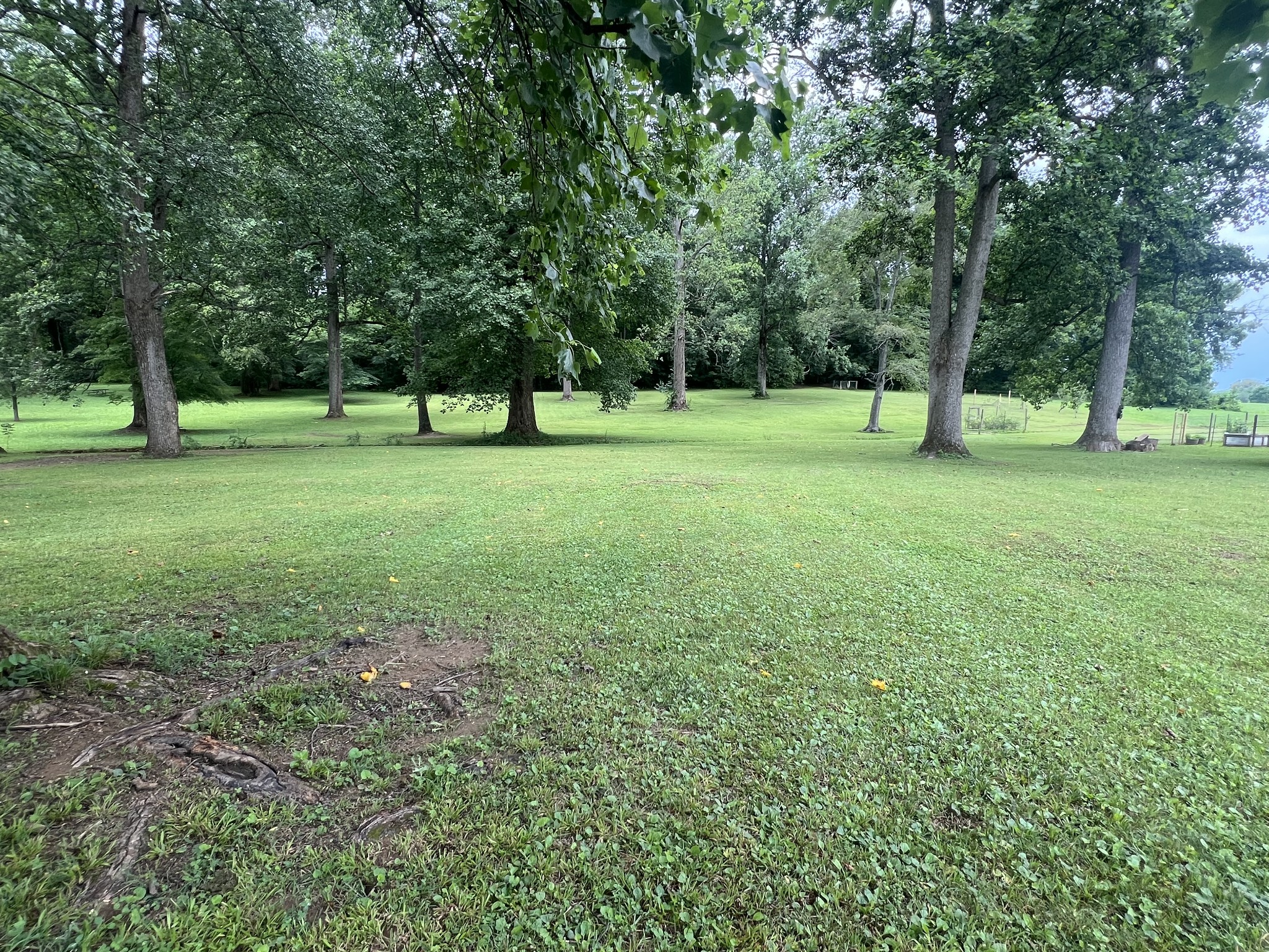 124 Amy Rd