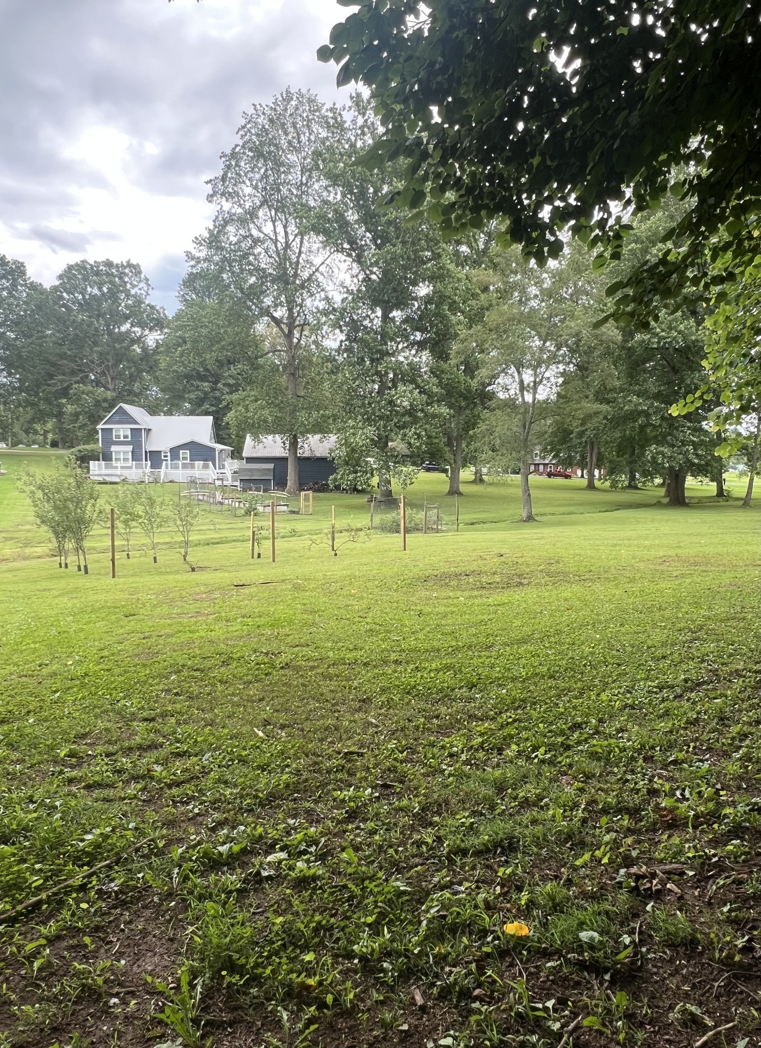 124 Amy Rd