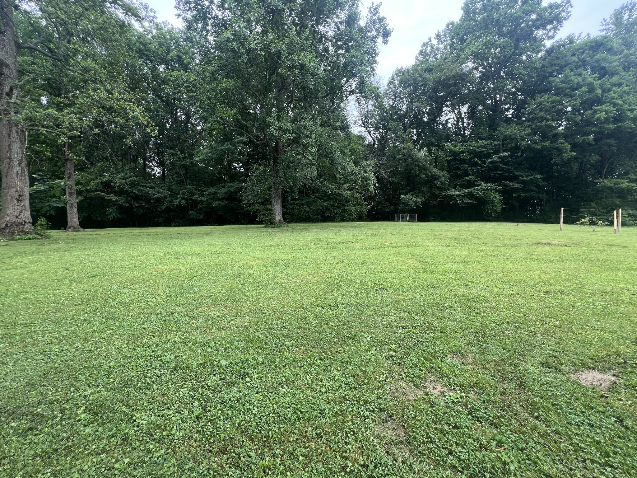 124 Amy Rd