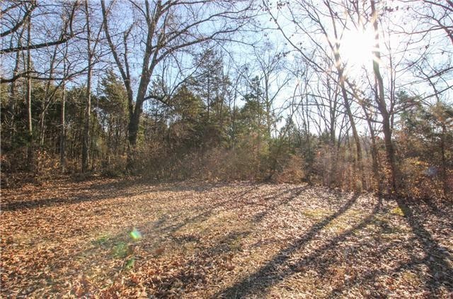 350 Ladybird Dr