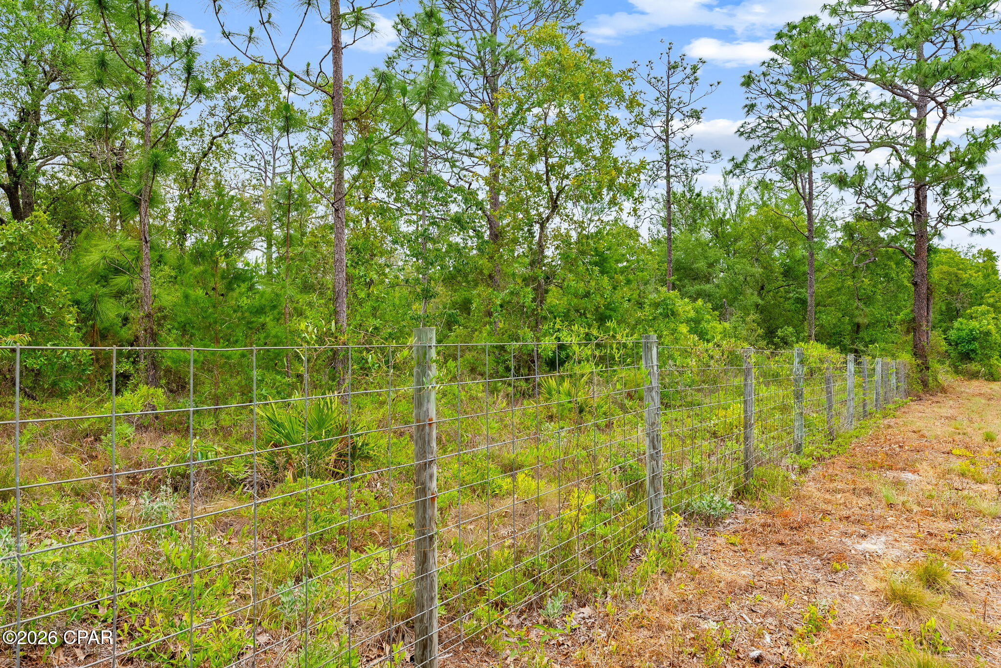 0 E Woodland Road