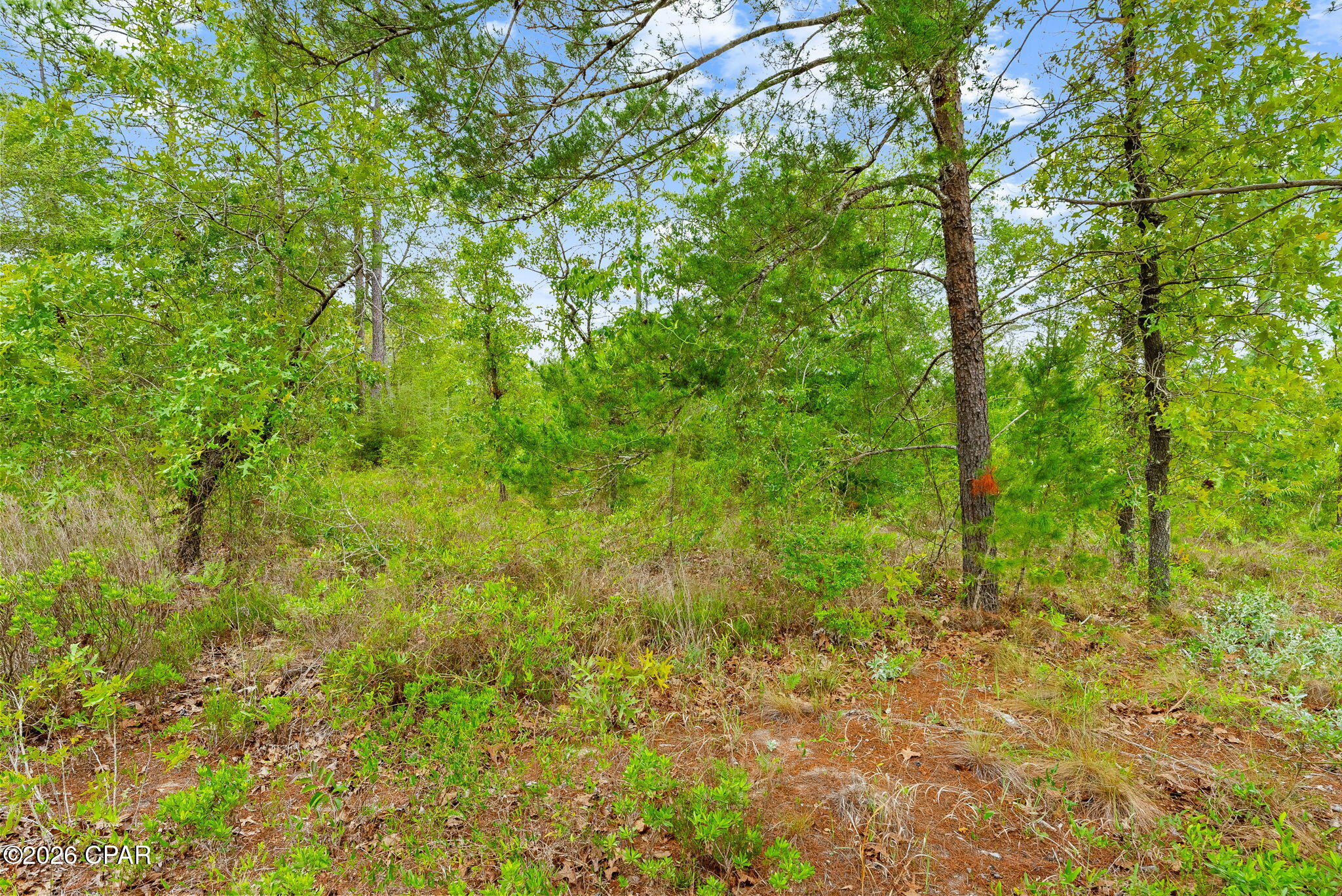 0 E Woodland Road