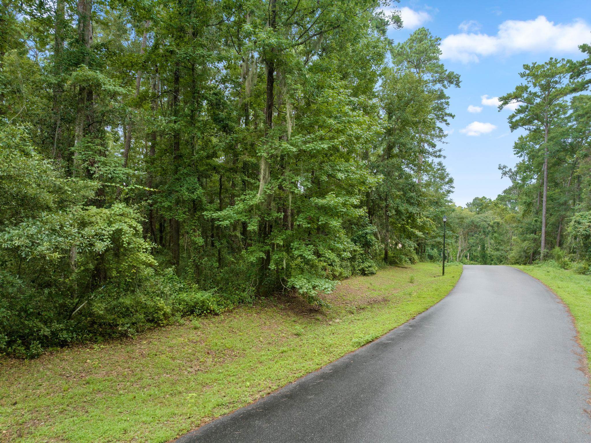 Moon Crest Lane