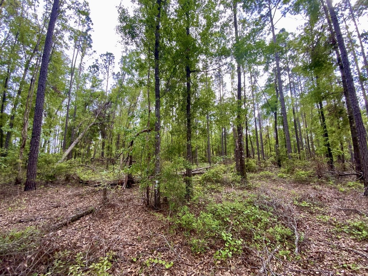 Vacant NE Raspberry Way