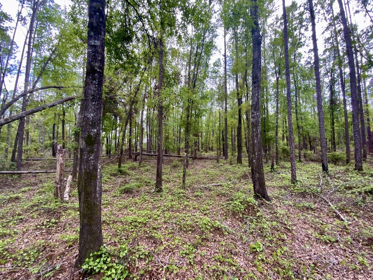 Vacant NE Raspberry Way