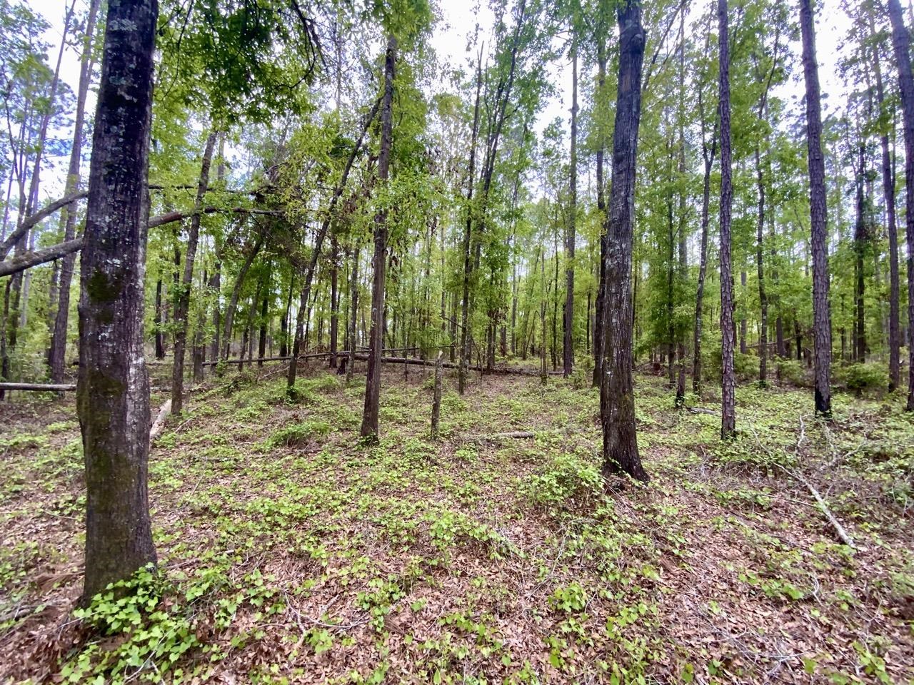 Vacant NE Raspberry Way