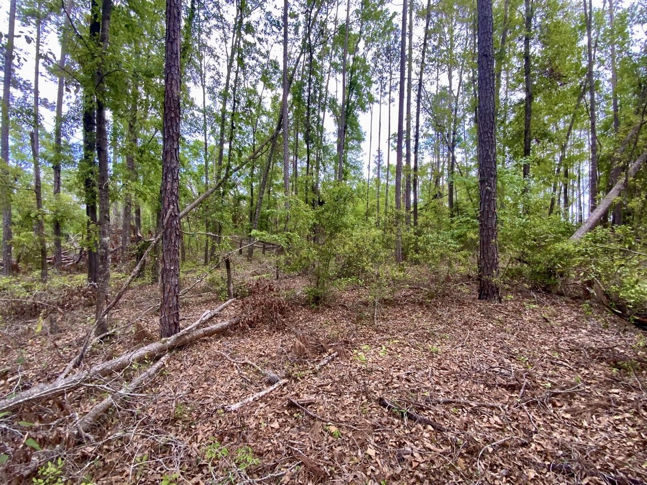 Vacant NE Raspberry Way