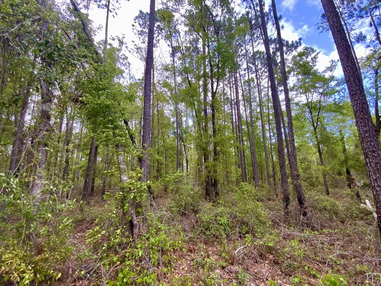 Vacant NE Raspberry Way