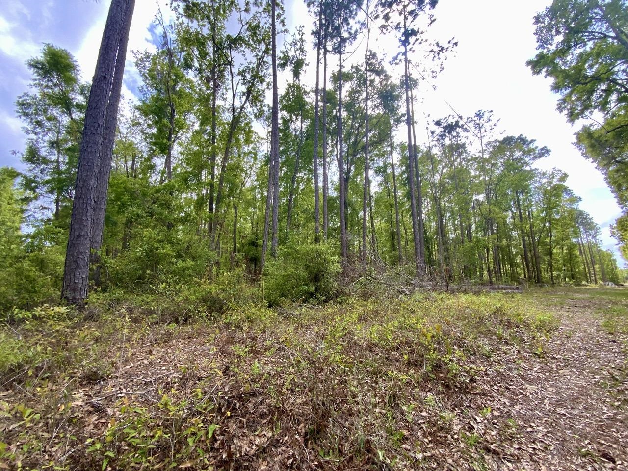 Vacant NE Raspberry Way