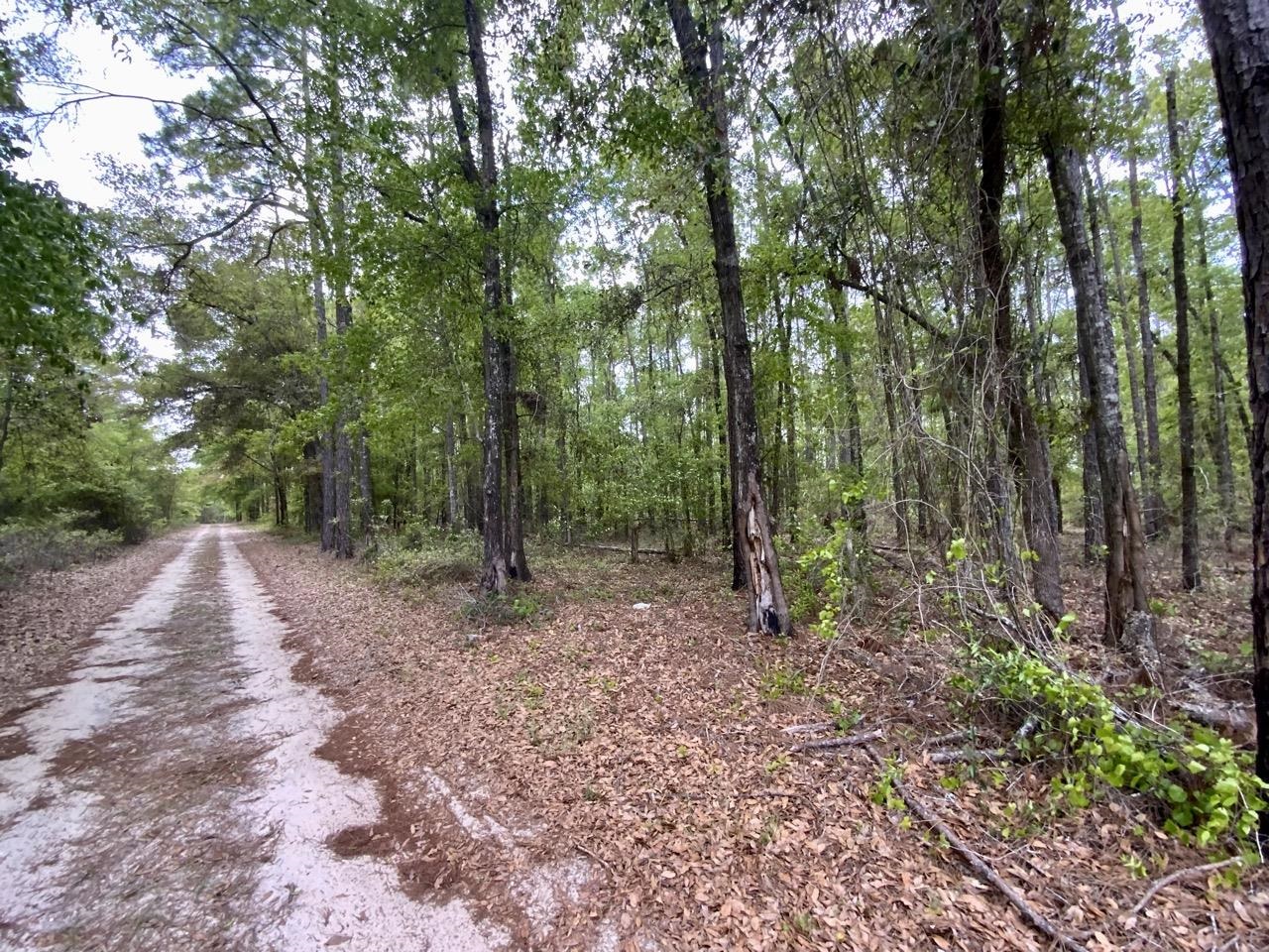 Vacant NE Raspberry Way