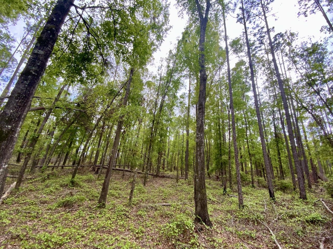 Vacant NE Raspberry Way