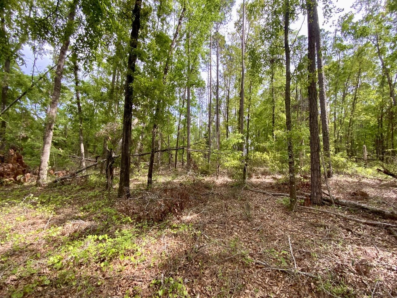 Vacant NE Raspberry Way