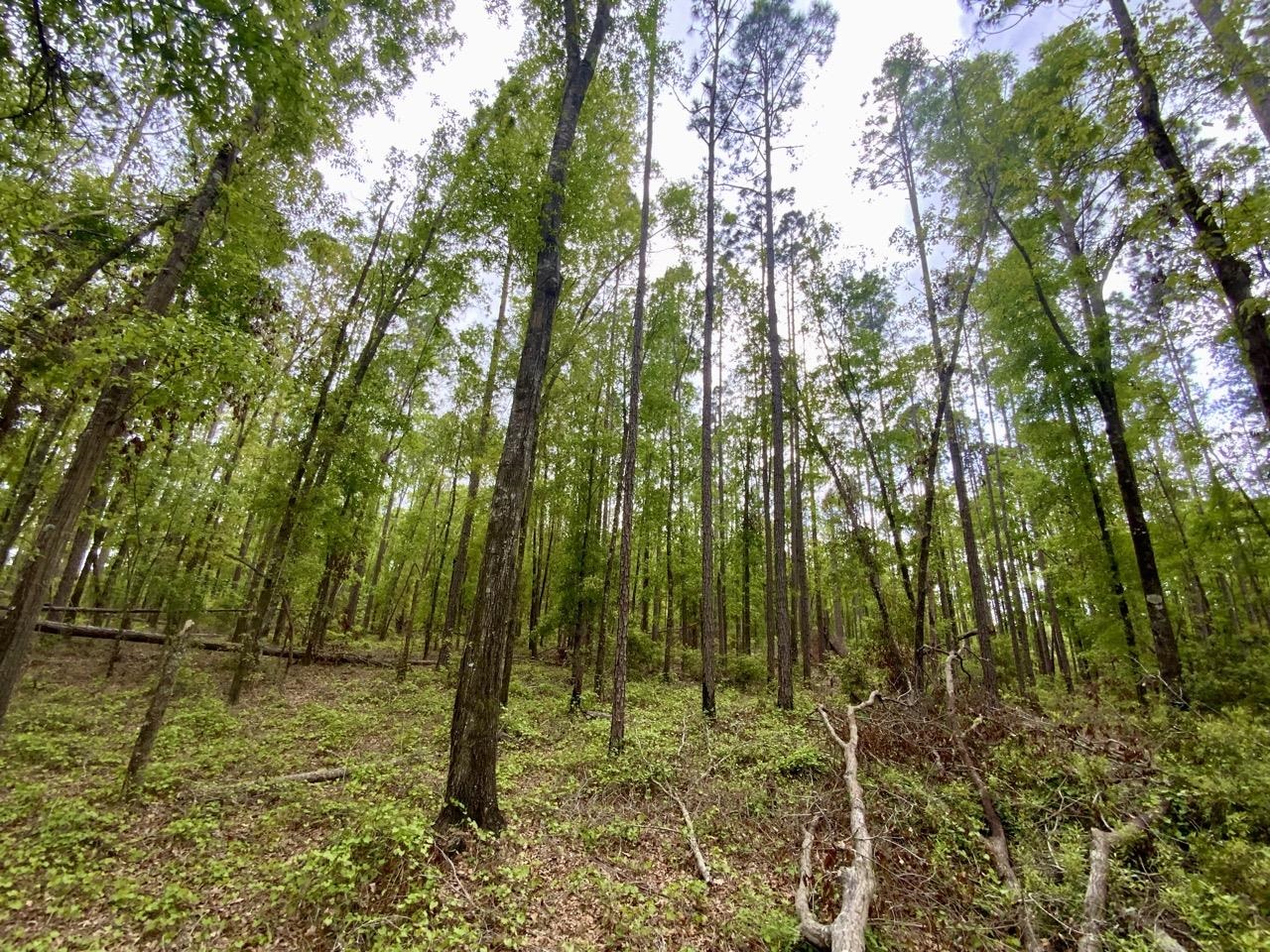 Vacant NE Raspberry Way