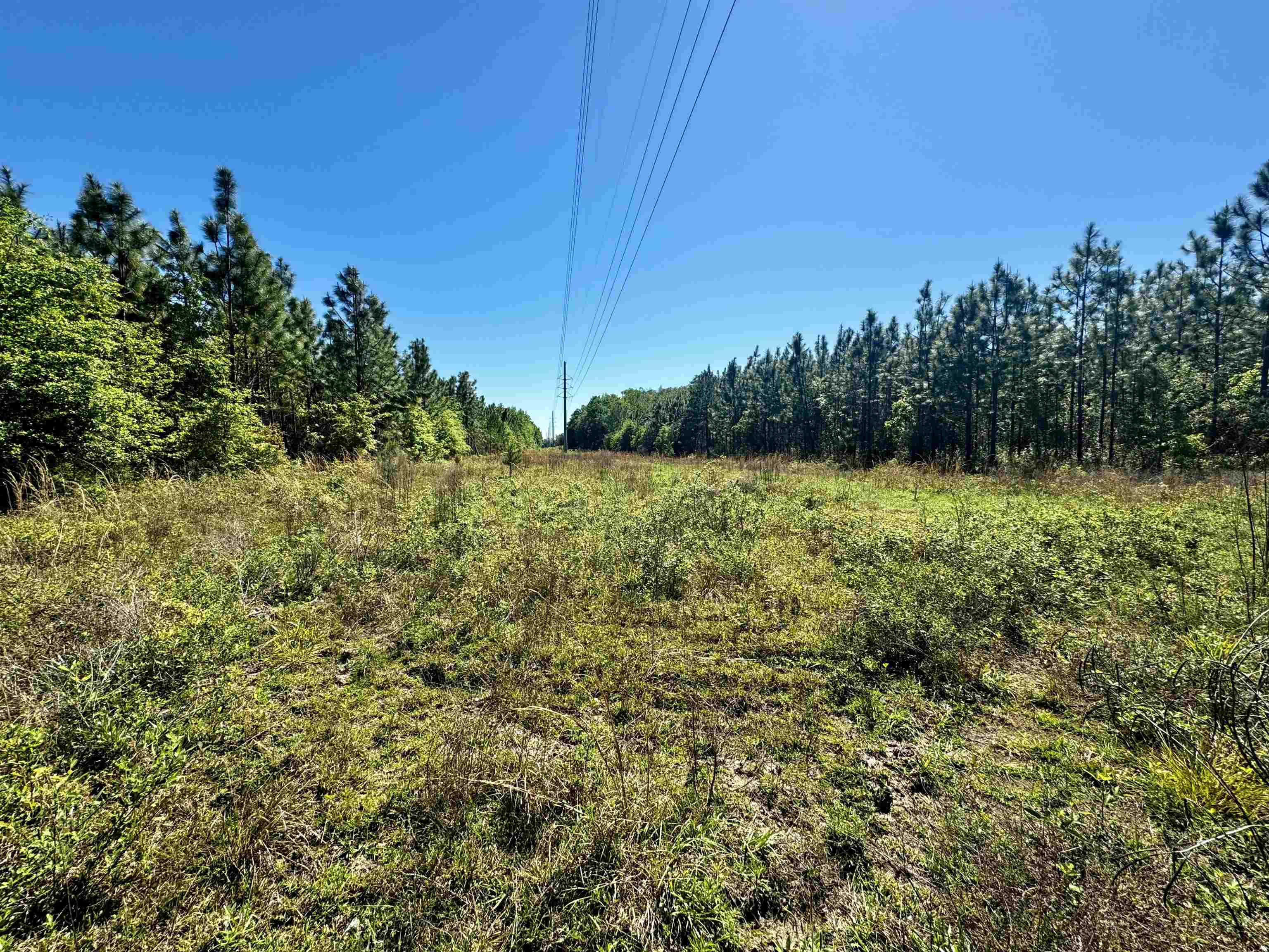1 SW Federal Road