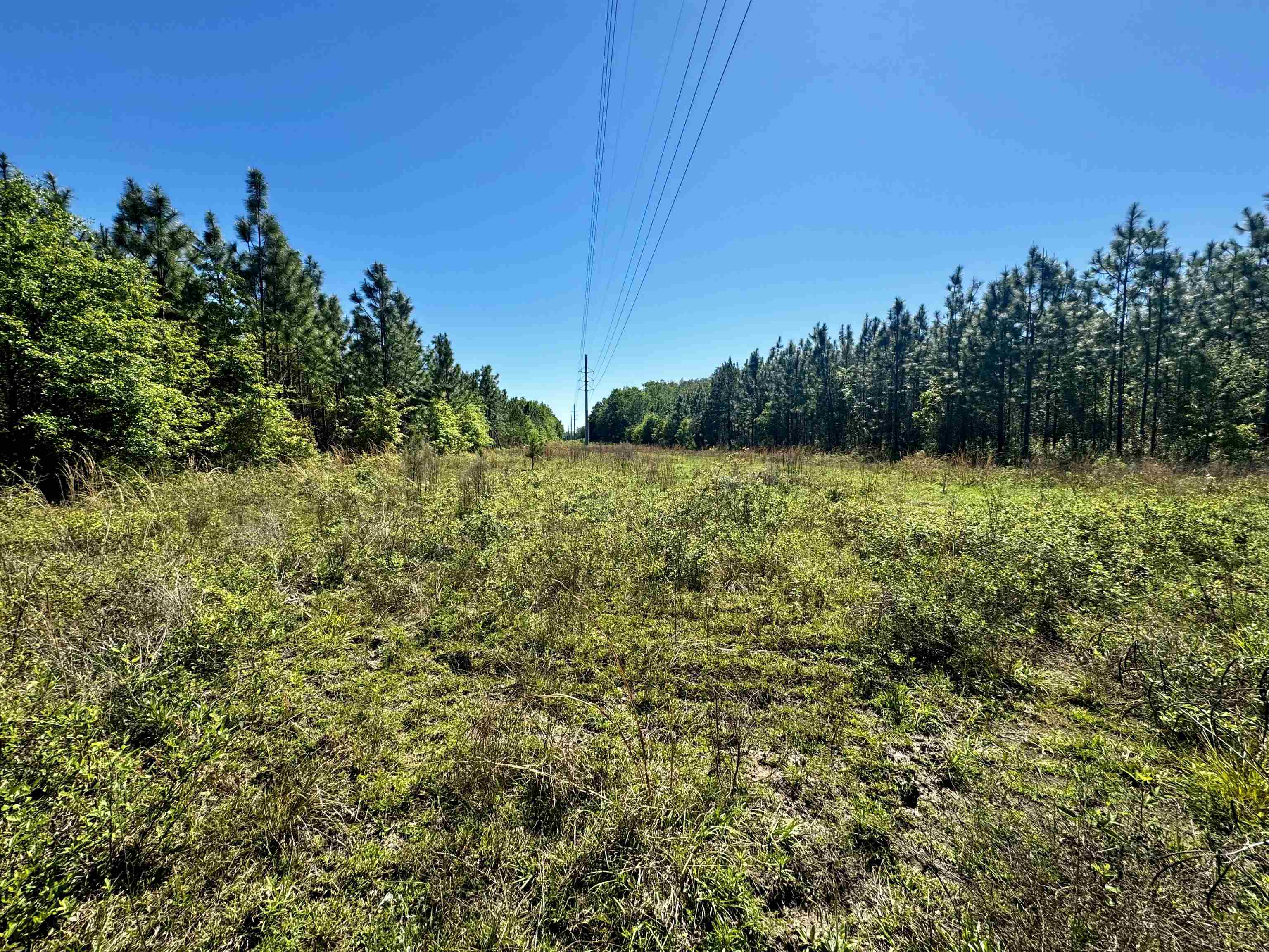 1 SW Federal Road