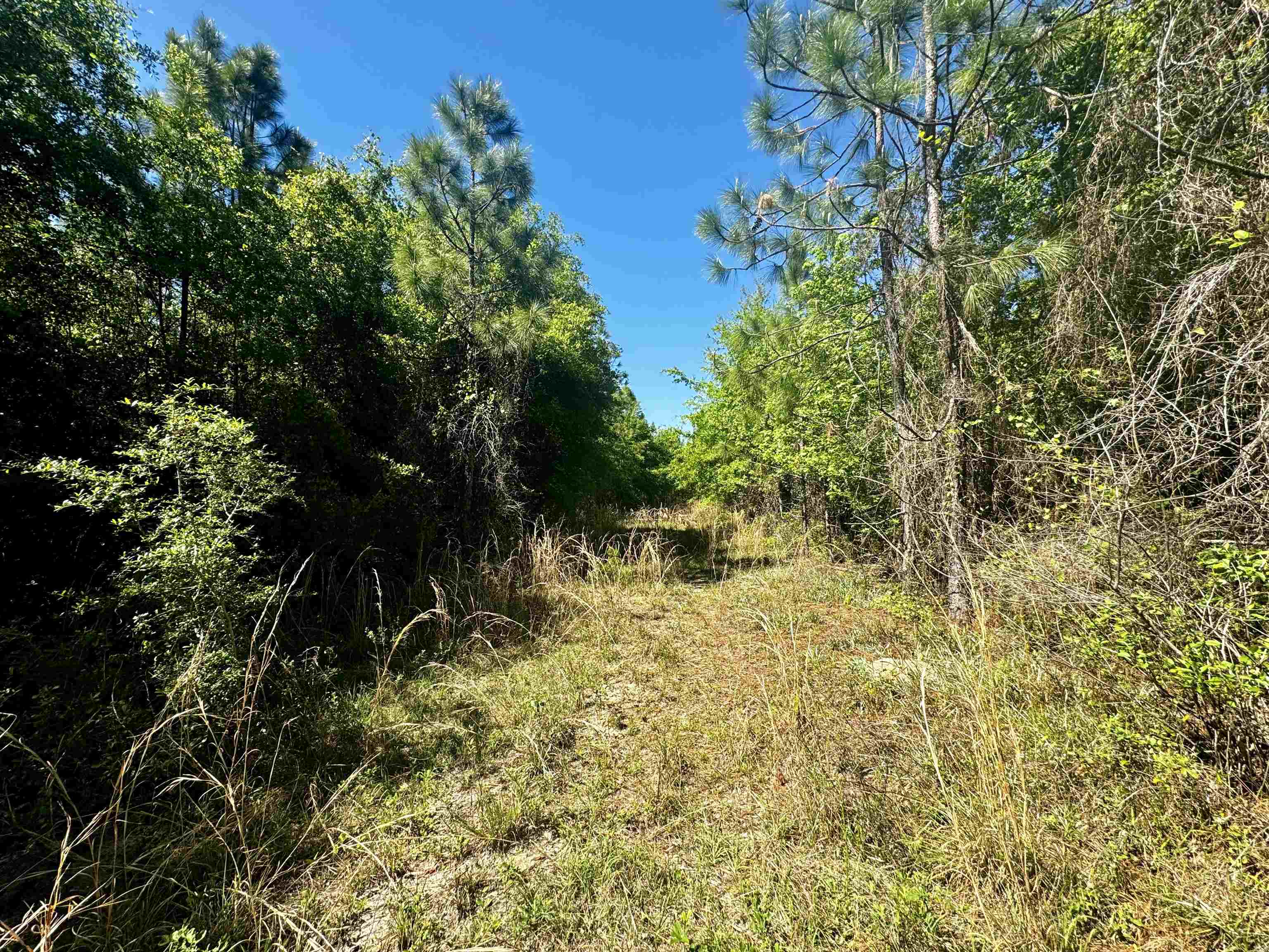 1 SW Federal Road