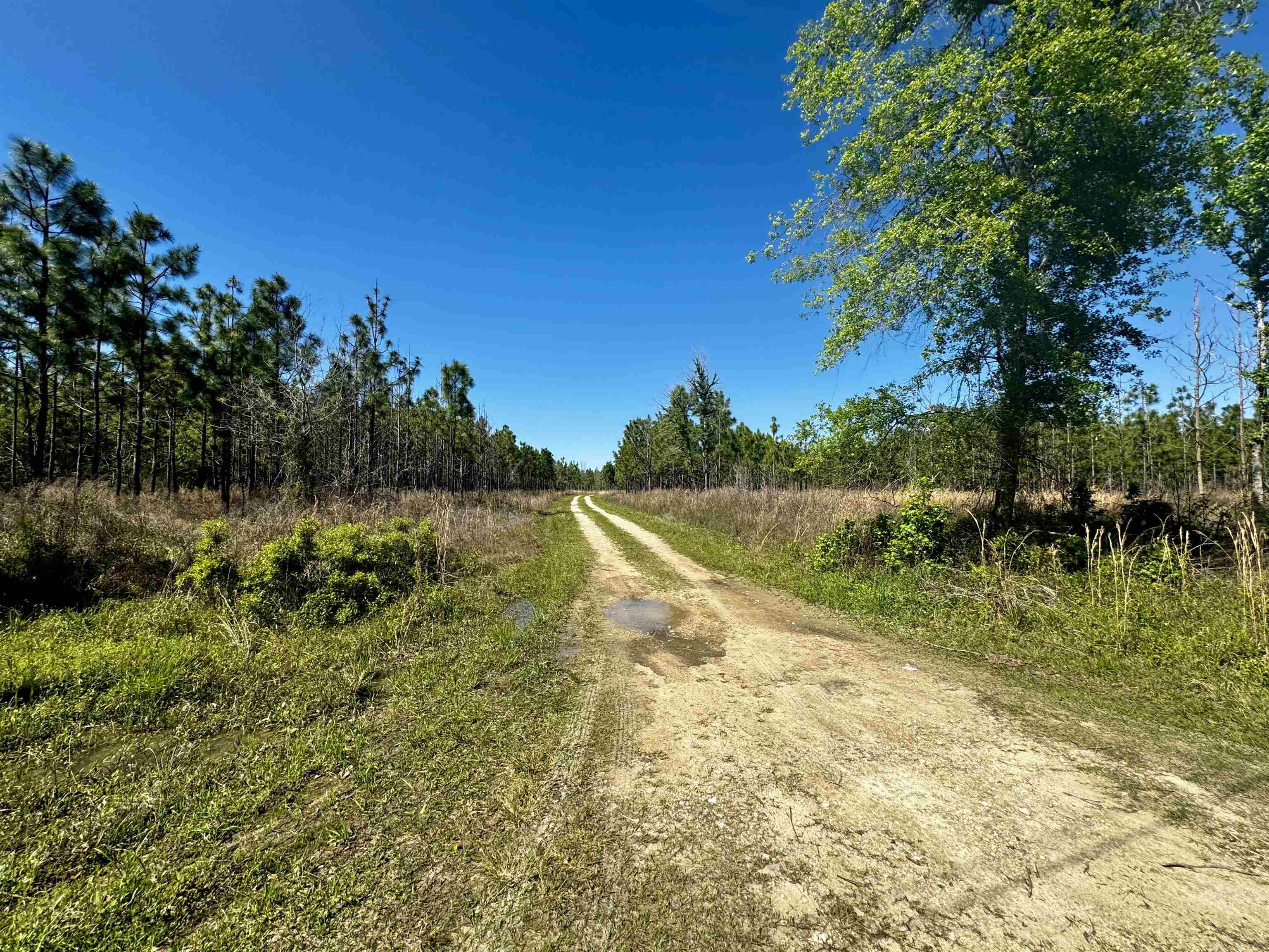 1 SW Federal Road