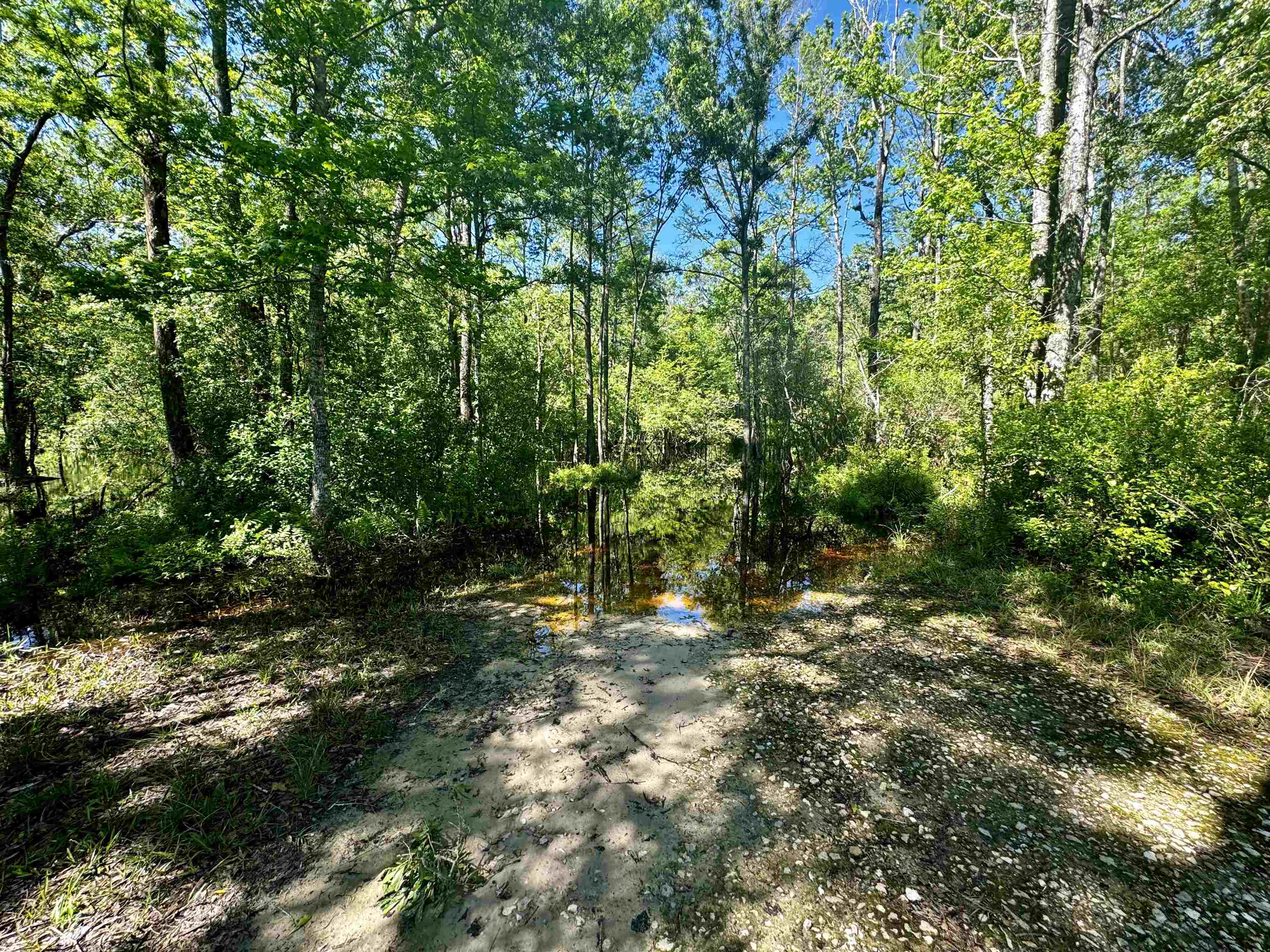 1 SW Federal Road
