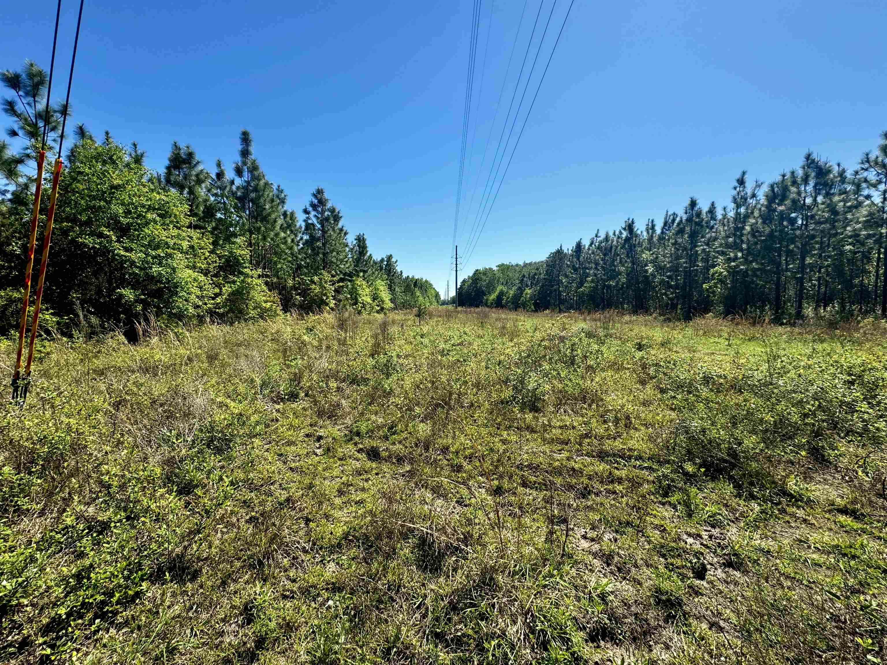 1 SW Federal Road