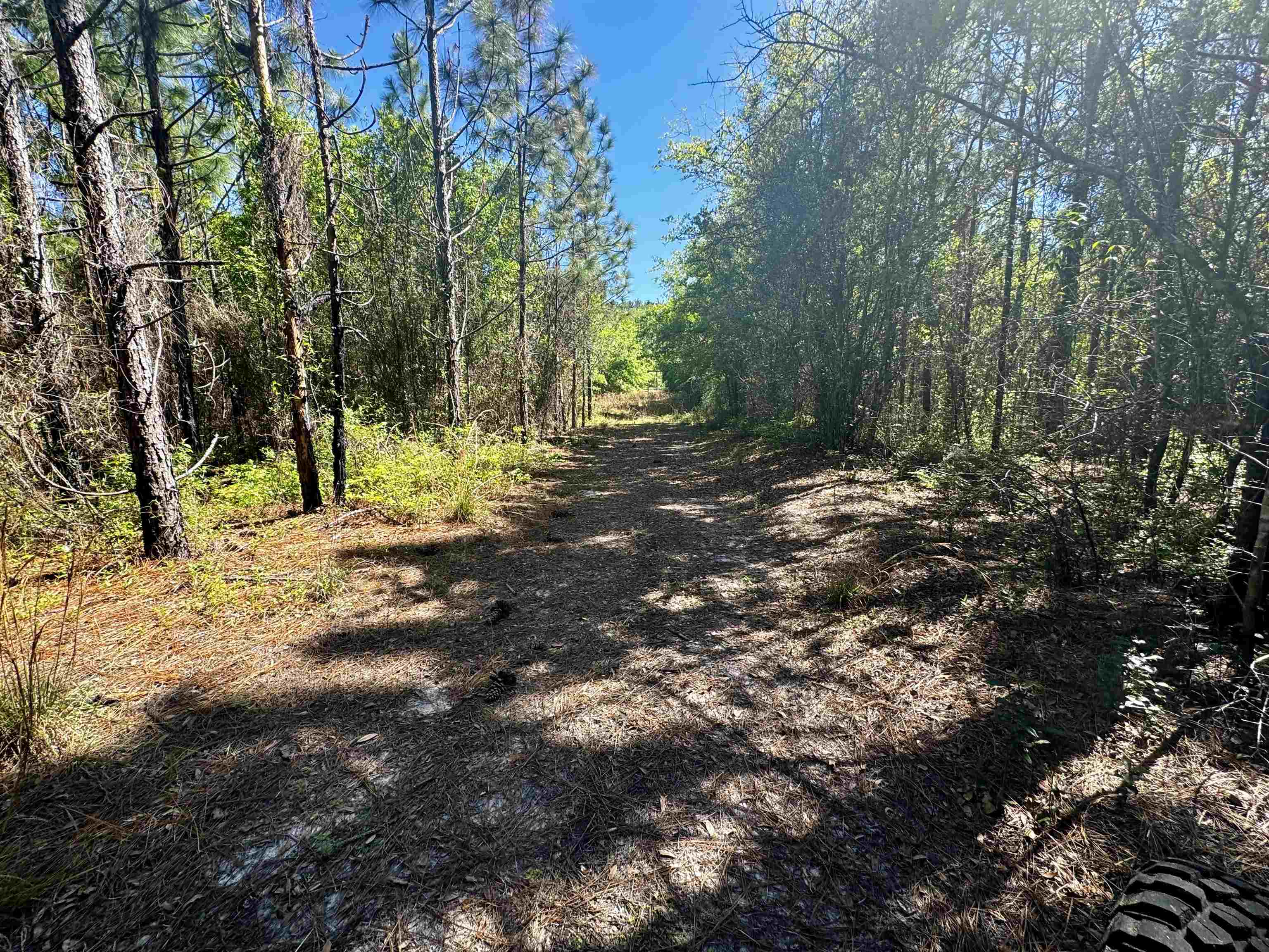 1 SW Federal Road