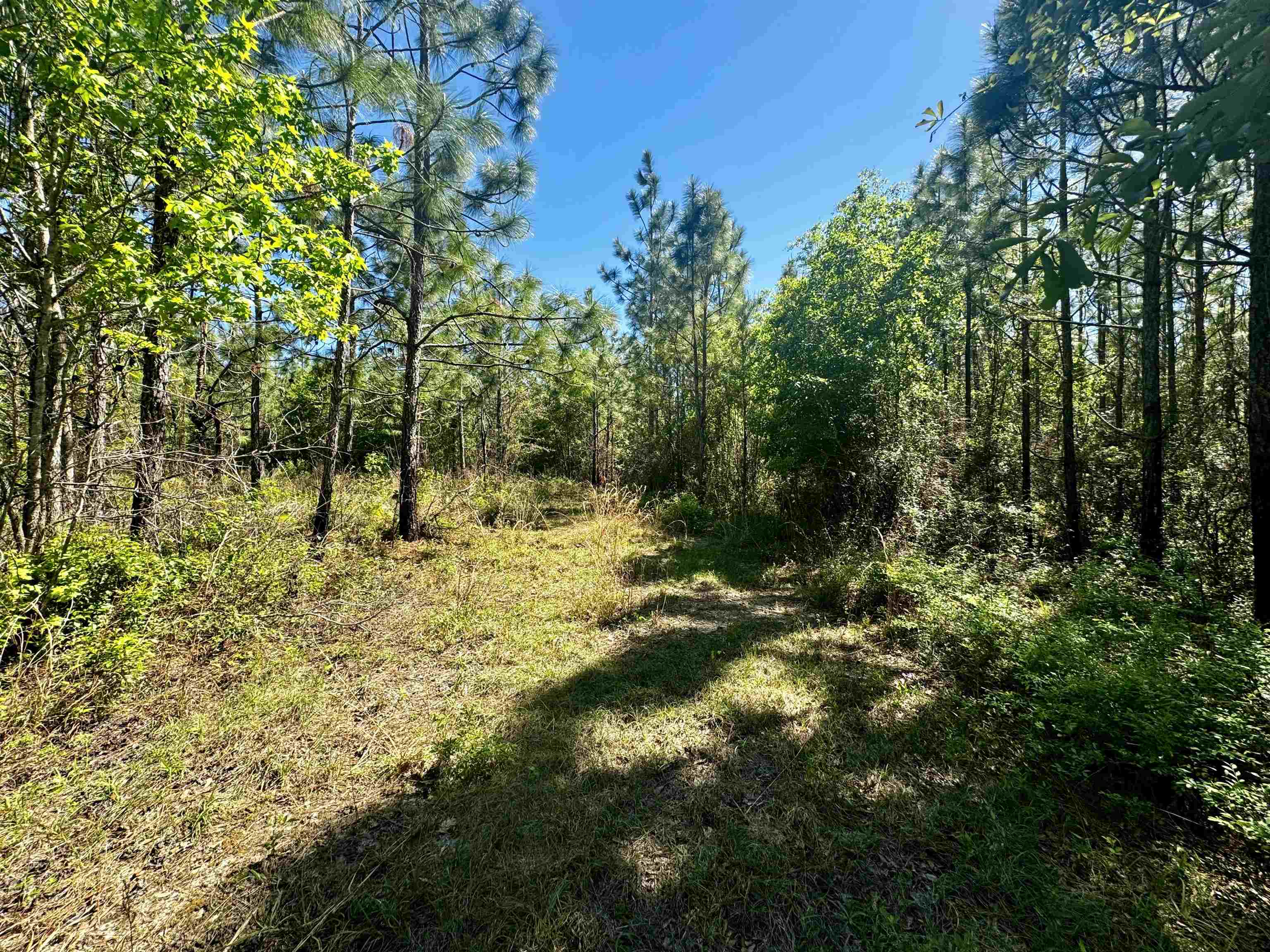 1 SW Federal Road