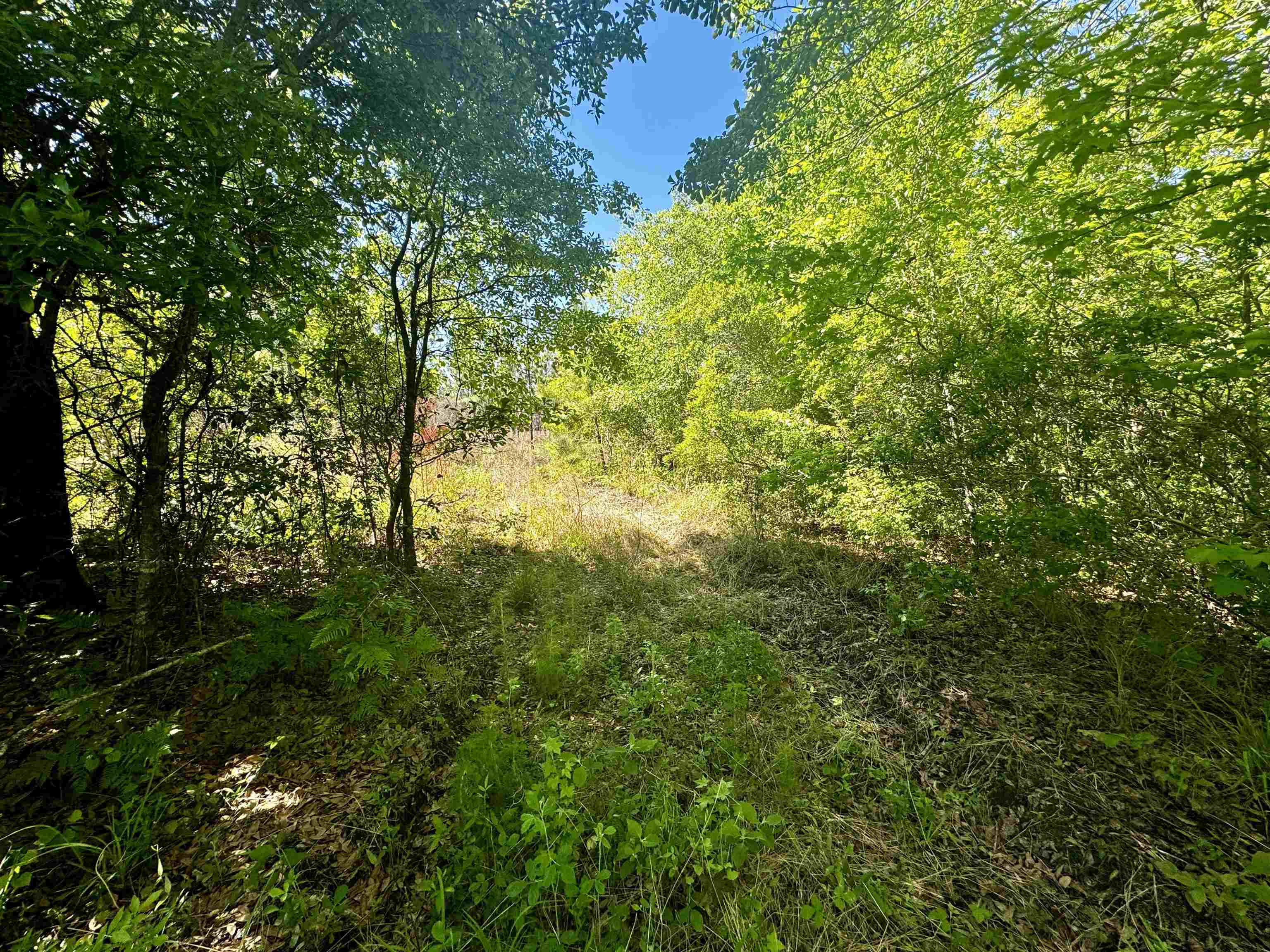 1 SW Federal Road