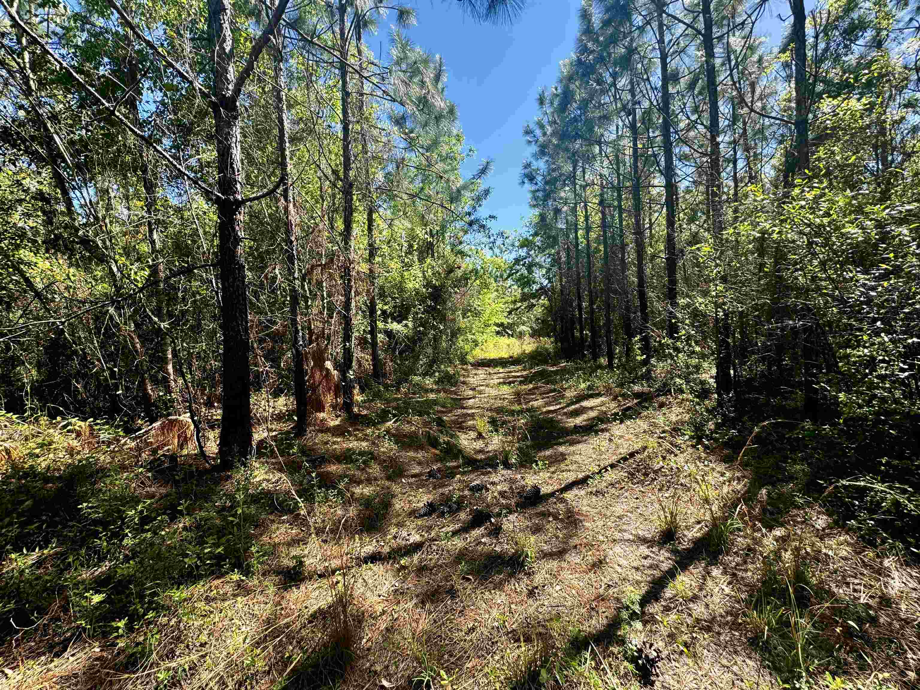 1 SW Federal Road