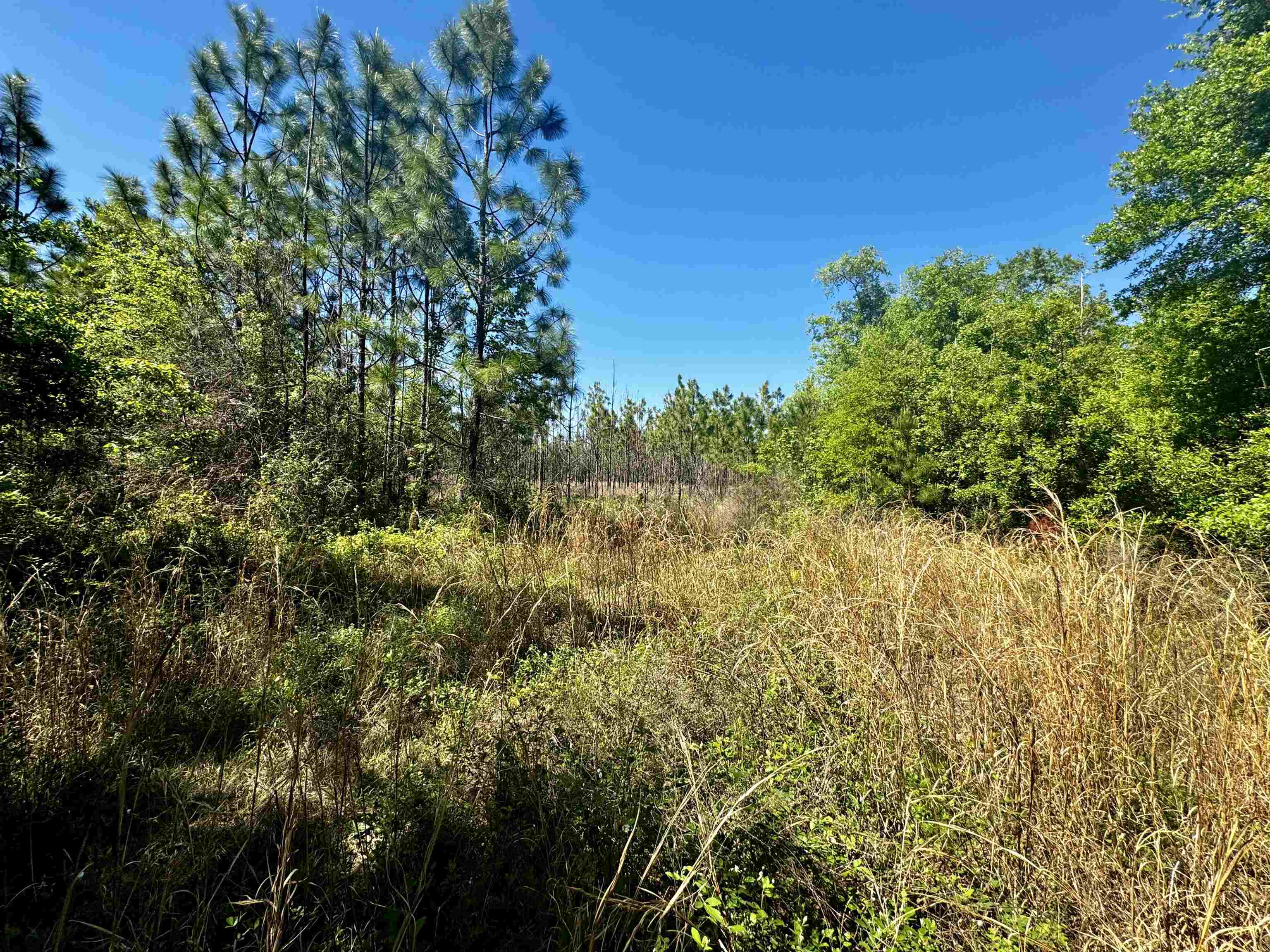 1 SW Federal Road