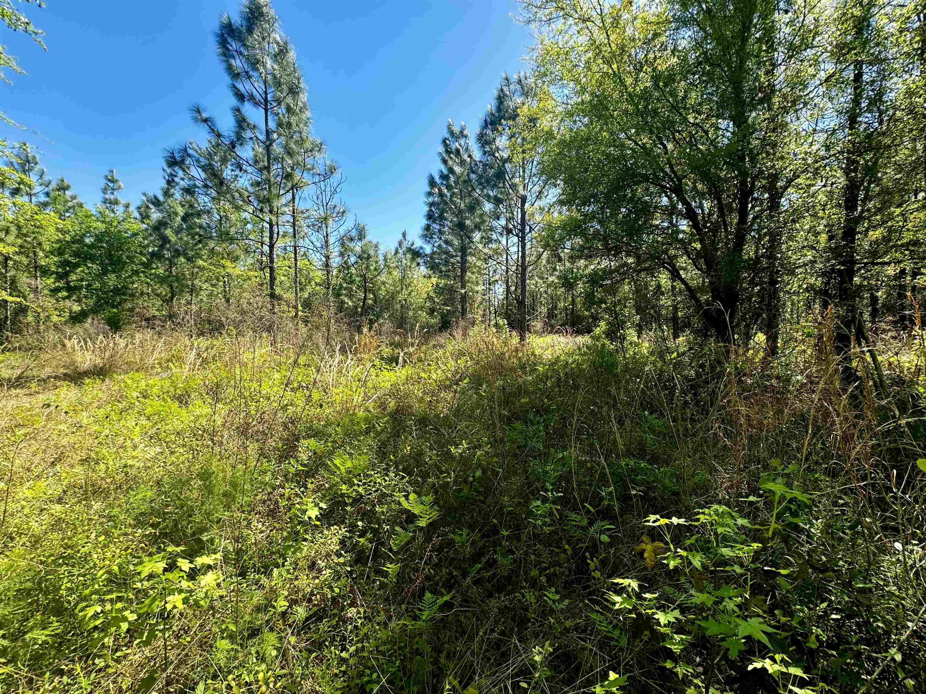 1 SW Federal Road