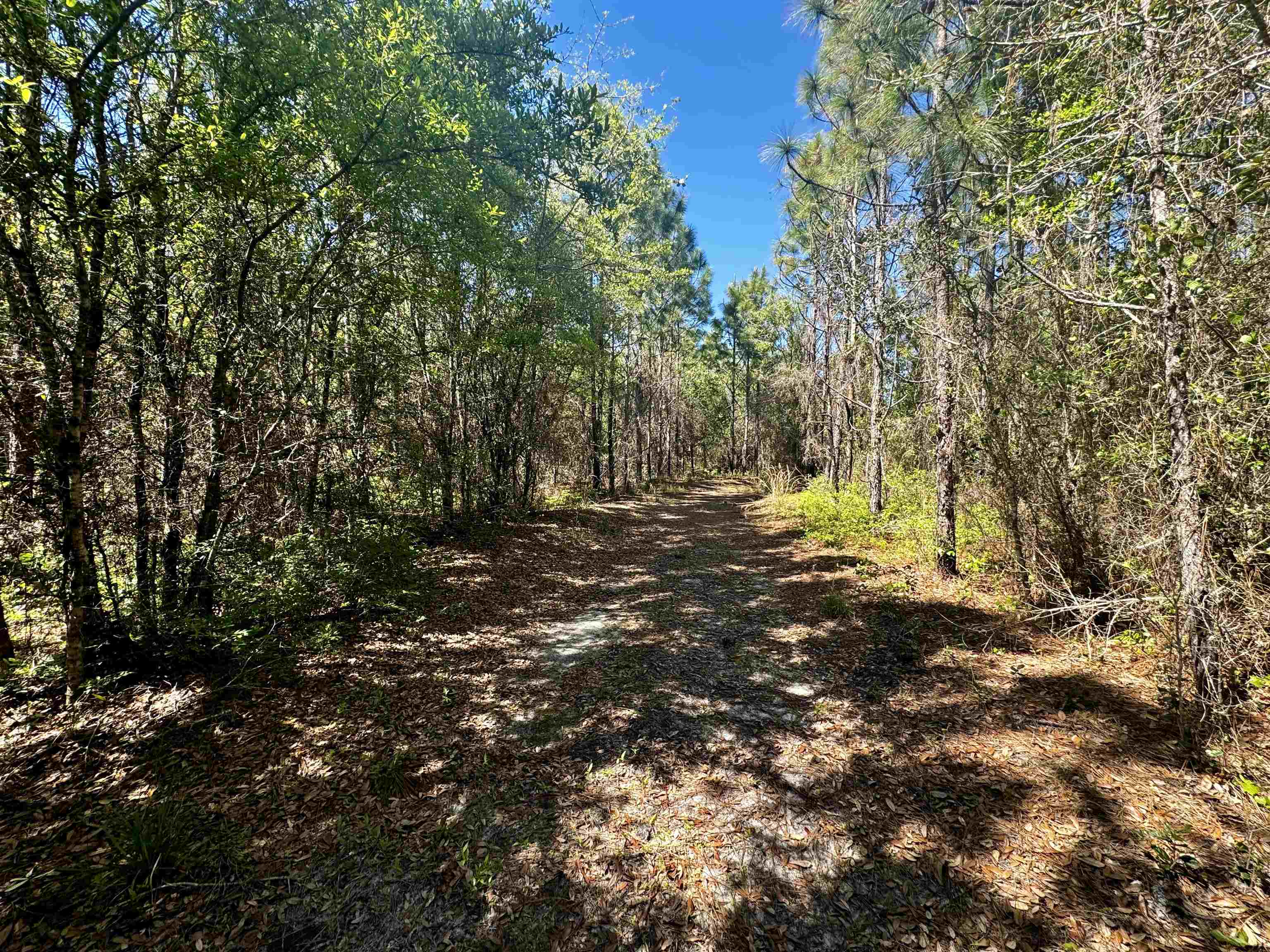 1 SW Federal Road