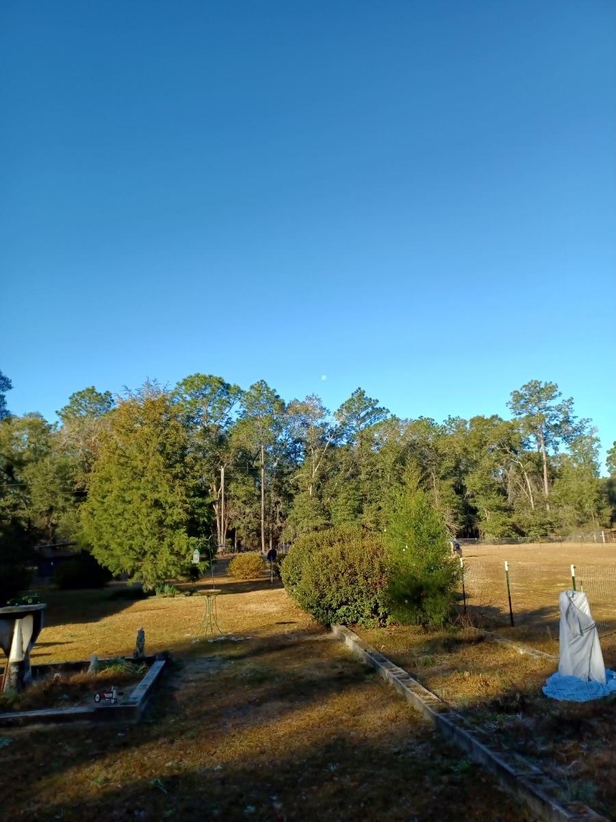 10805 Tram Road
