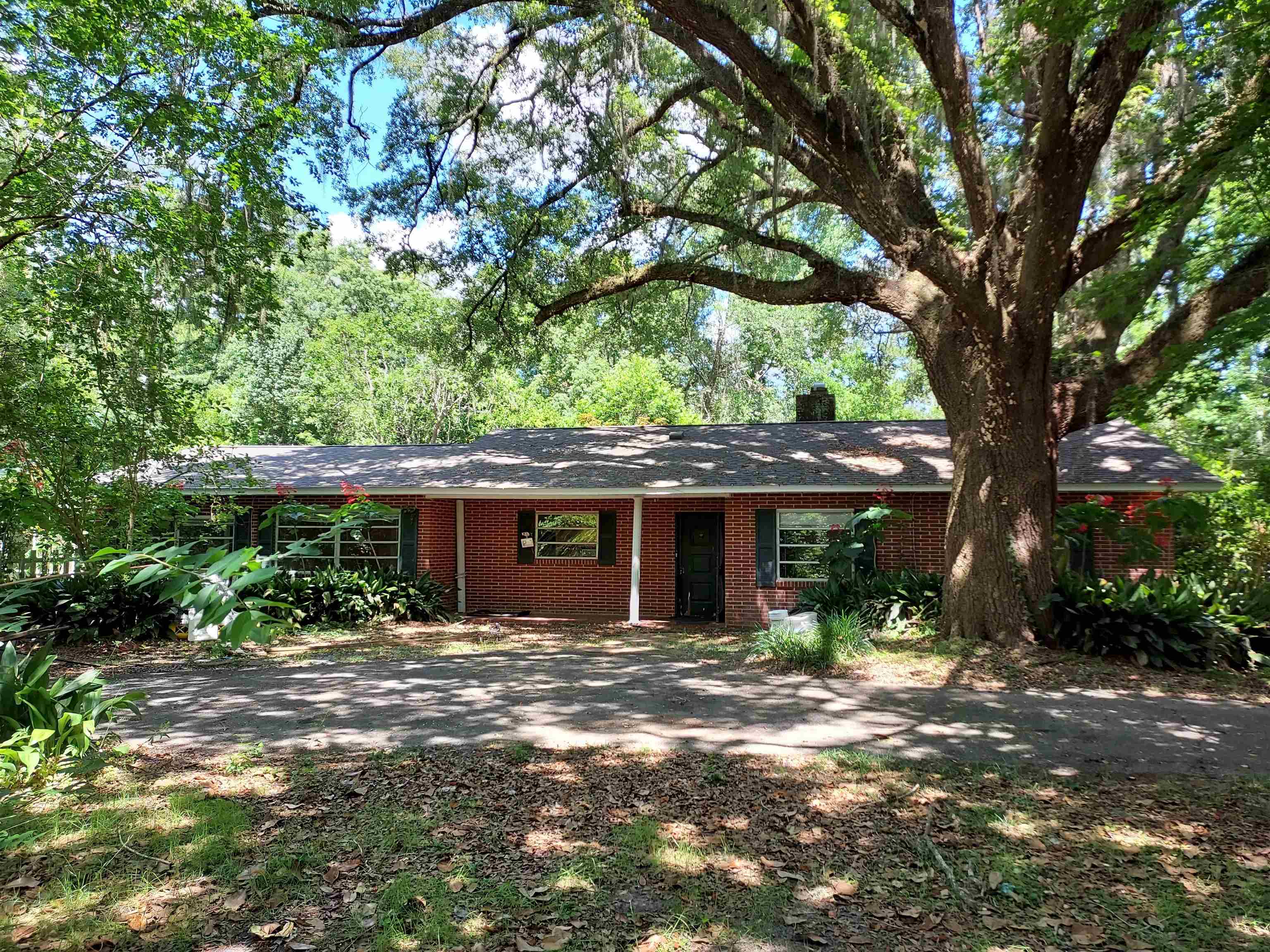 2390 Tallahassee Drive