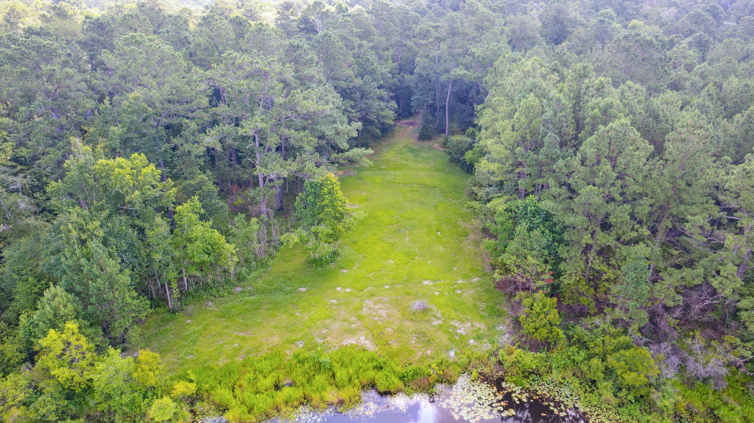 285 Mallard Lane