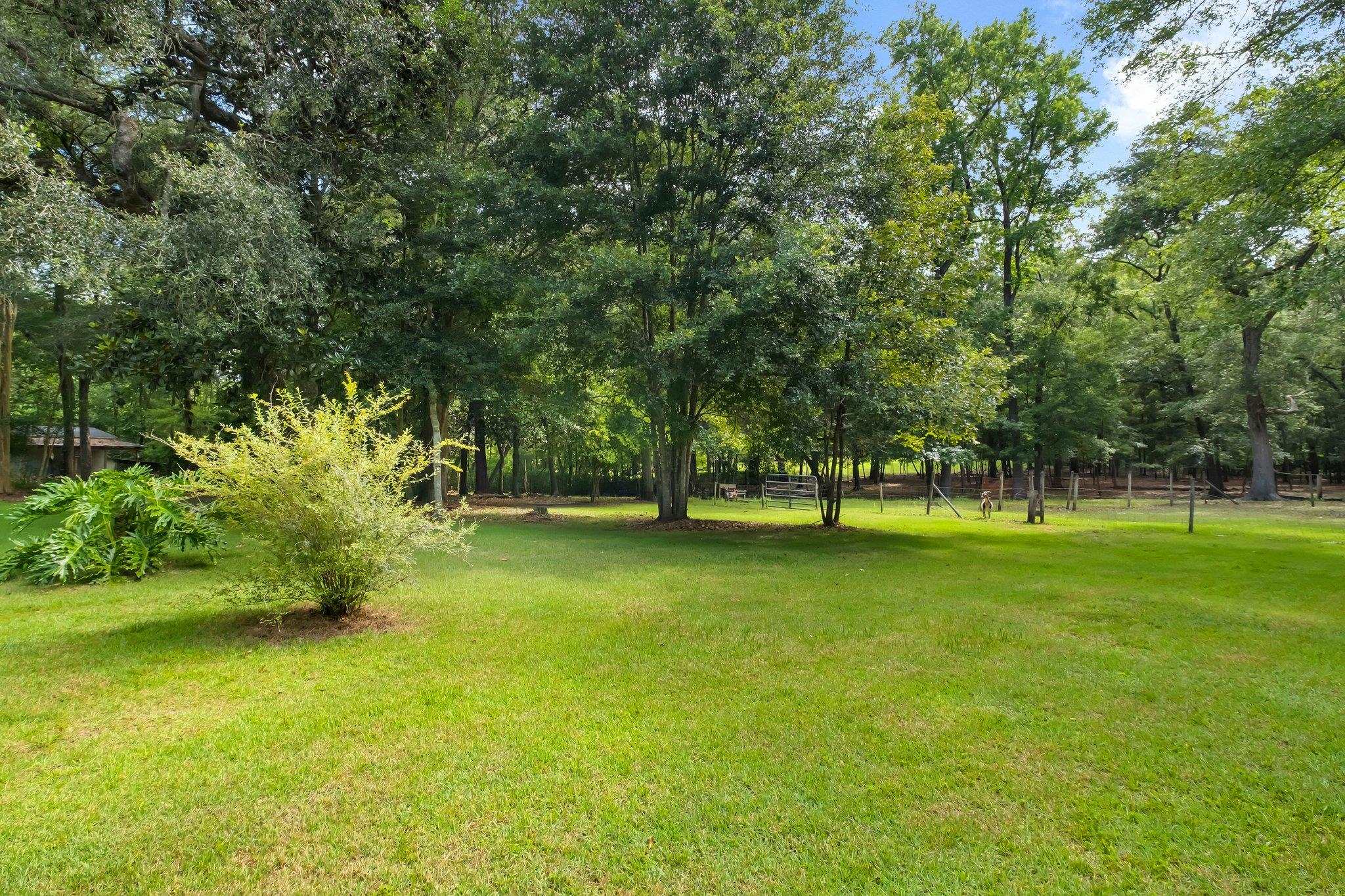 7077 Carmel Drive